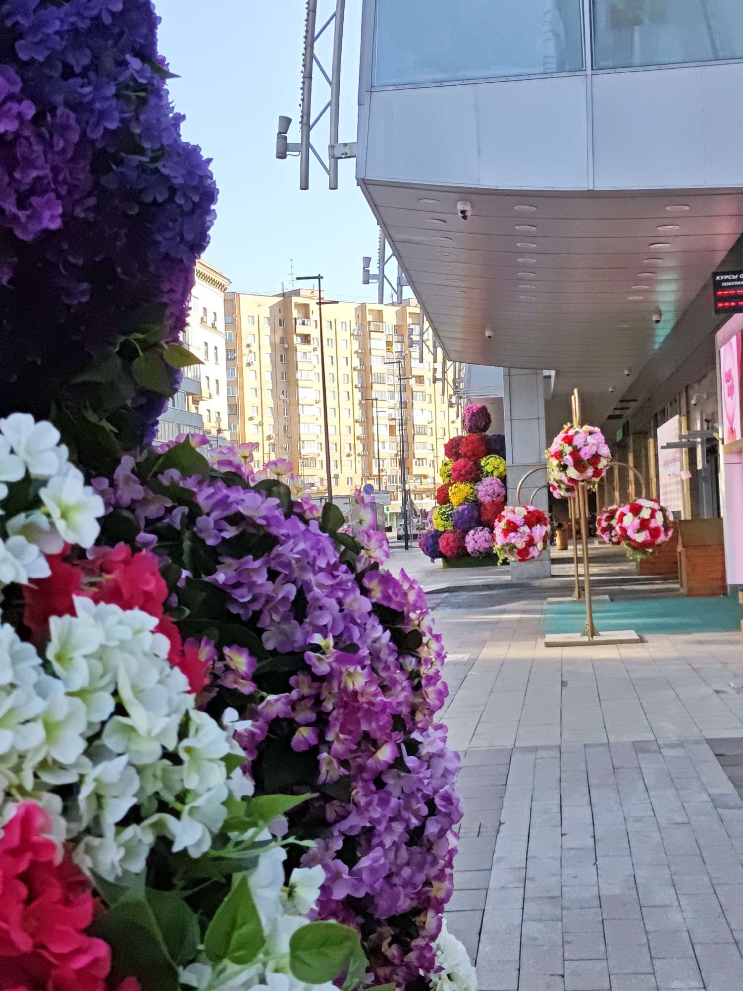 The image depicts a street scene in Moscow, Russia, characterized by an abundance of floral decorations. In the foreground, a large, multi-colored floral arrangement with vibrant purple and pink flowers dominates the left side of the frame. To the right, a paved walkway leads towards a modern building with a sleek, silver facade and large glass windows. Along the walkway, several gold-colored stands display spherical floral arrangements in various shades of pink and red. In the background, apartment buildings with multiple windows and balconies are visible under a clear sky. The overall impression is of a festive and well-maintained urban environment, likely decorated for a special event or season.