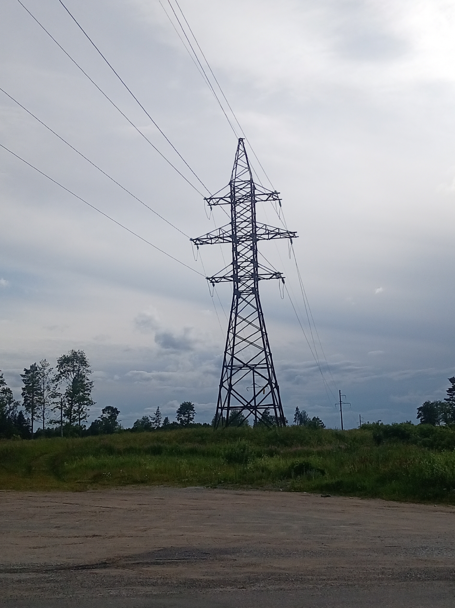 The image depicts a tall, dark lattice electrical pylon positioned in the center of the frame. The pylon is made of interconnected metal beams, forming a complex geometric structure that tapers towards the top. Multiple power lines extend horizontally from the pylon, disappearing out of frame to the left and right. The sky above is overcast with a mixture of light and dark grey clouds, suggesting a diffused light source.
In the foreground, a rough, greyish surface, possibly a dirt road or unpaved area, stretches across the bottom of the image. Behind the road, a grassy embankment rises, covered in lush green vegetation. Scattered trees with dark green foliage are visible along the top of this embankment, some appearing tall and slender while others are shorter and bushier. In the distance, another smaller, solitary electrical pole with fewer crossbars is visible, also silhouetted against the cloudy sky. The overall environment appears to be a rural or semi-rural area, possibly on the outskirts of Tapa, Estonia, characterized by open space, vegetation, and essential utility infrastructure. No people are present in the image.