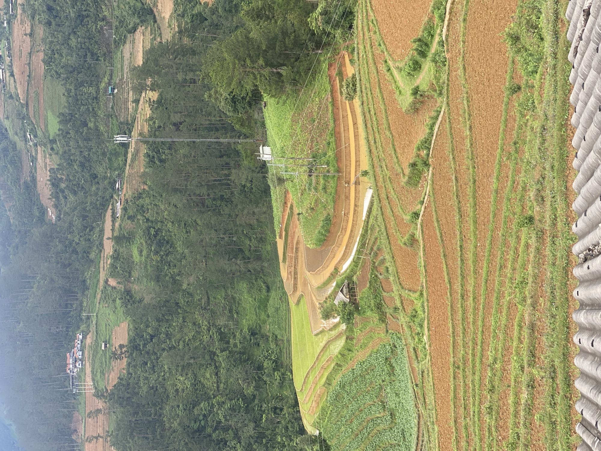 This image depicts a vast, verdant, and cultivated mountainous landscape in Dế Xu Phình, Vietnam, viewed from an elevated perspective. In the immediate foreground, the ridged surface of a grey corrugated roof is partially visible. The scene is dominated by extensive terraced fields carved into steep hillsides, showcasing various stages of agricultural activity.
In the mid-ground, numerous terraces exhibit rich, reddish-brown soil, indicating recently tilled or unplanted plots. Adjacent to these, other terraces are vibrant green with young crops, some appearing to be rice paddies partially submerged in water. A small, rustic hut with a thatched roof is situated among these green terraces, near a winding pathway or irrigation channel. Electrical power lines and wooden poles traverse the slopes, connecting various points within the landscape.
Higher up the central slope, a solitary dark-colored water buffalo is visible grazing on a patch of bright green grass. Directly behind it, a tall, white cellular communication tower equipped with multiple antennas stands prominently on a ridge. A small, white utilitarian building is located near the base of this tower. The slopes are heavily forested with dense clusters of pine trees, interspersed with more patches of cultivated land.
In the background, the terraced fields and forests continue, fading into a light haze. Several clusters of houses, characterized by light-colored walls and distinct reddish-brown roofs, are scattered across distant hilltops. The sky is uniformly light grey, contributing to the hazy atmospheric conditions. No individuals are visibly present in the frame.