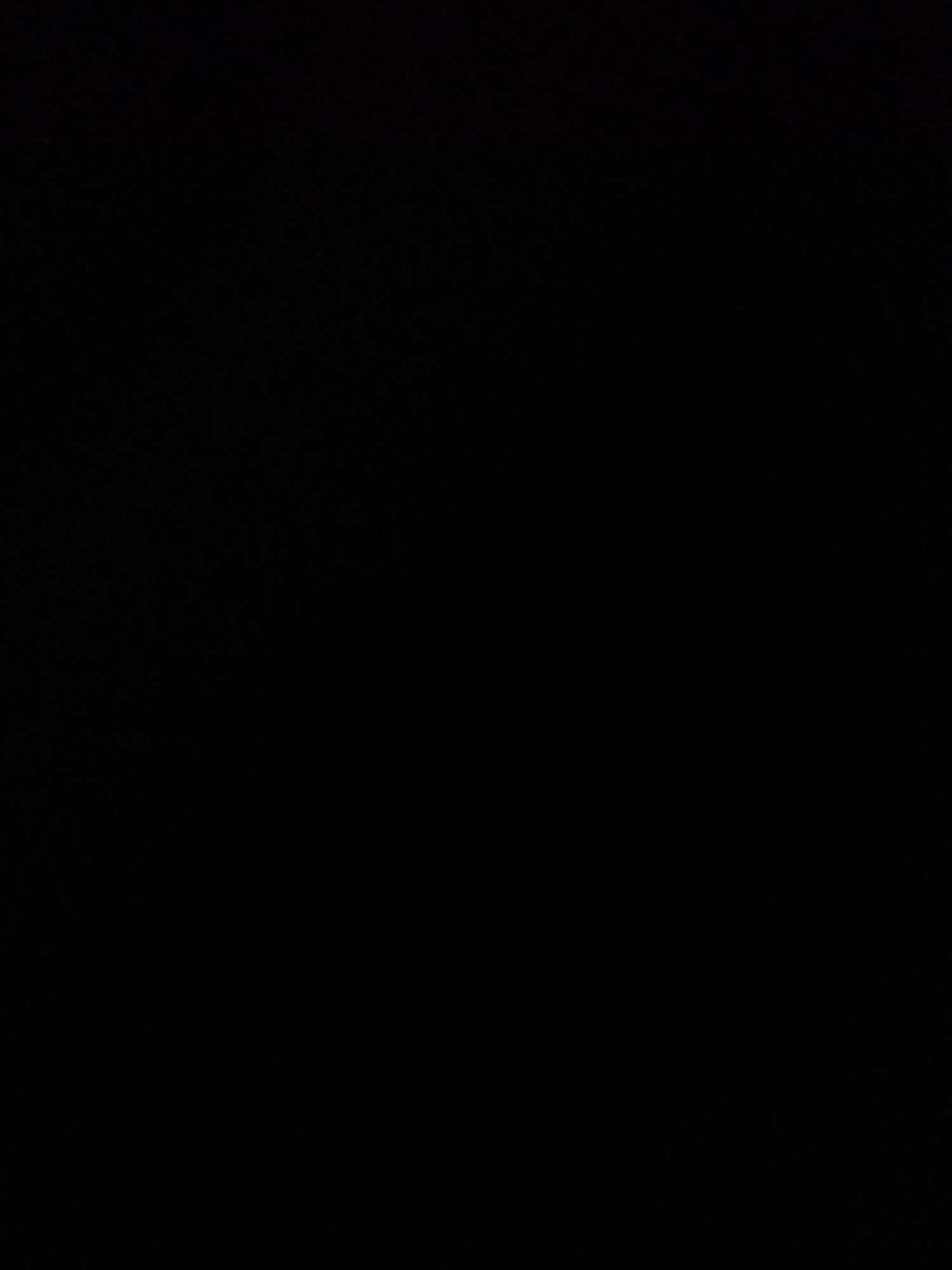 The media file is a completely black image. There are no visible subjects, objects, scenes, activities, or events taking place. No details such as time of day, weather, location cues, or emotions can be discerned. There is also no visible text.
