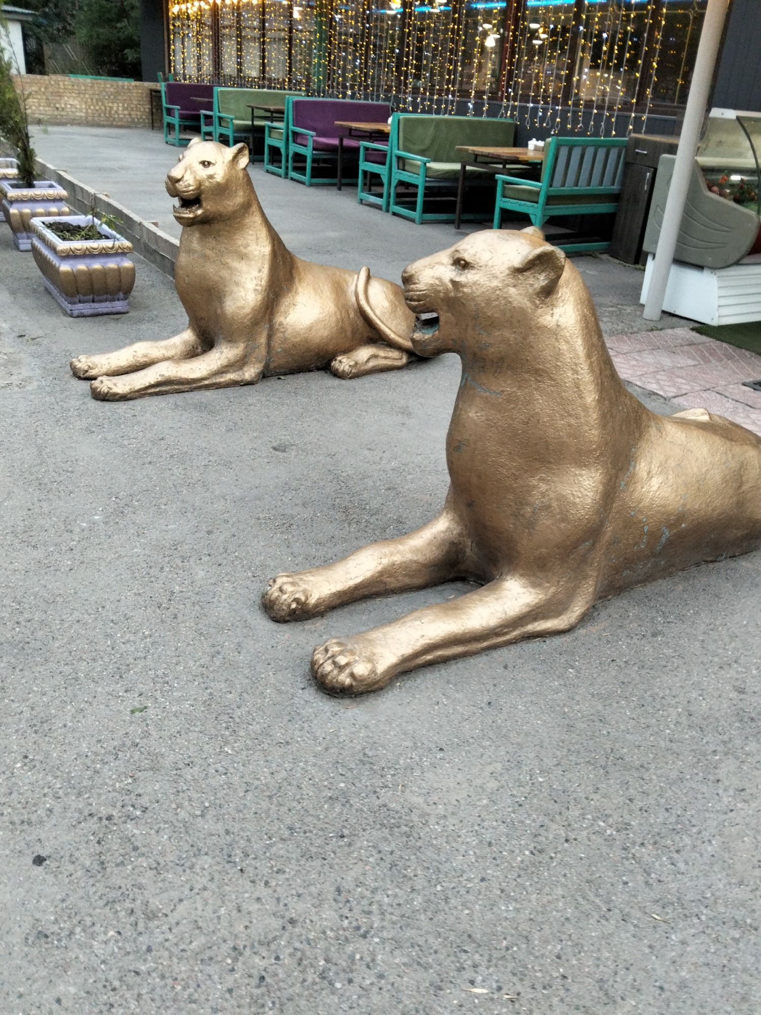 Two golden lion statues are positioned on a grey asphalt surface. The statue on the left is facing to the left, while the statue on the right is facing towards the viewer. Both statues are in a lying down pose with their front legs extended. Behind the statues, there is an outdoor seating area with green and purple benches, wooden tables, and a building with a dark facade decorated with numerous small, yellow lights. Several planters with greenery are visible to the left of the statues. The scene appears to be an outdoor space, possibly a cafe or restaurant, in Almaty, Kazakhstan. The lighting suggests it could be dusk or a dimly lit evening.