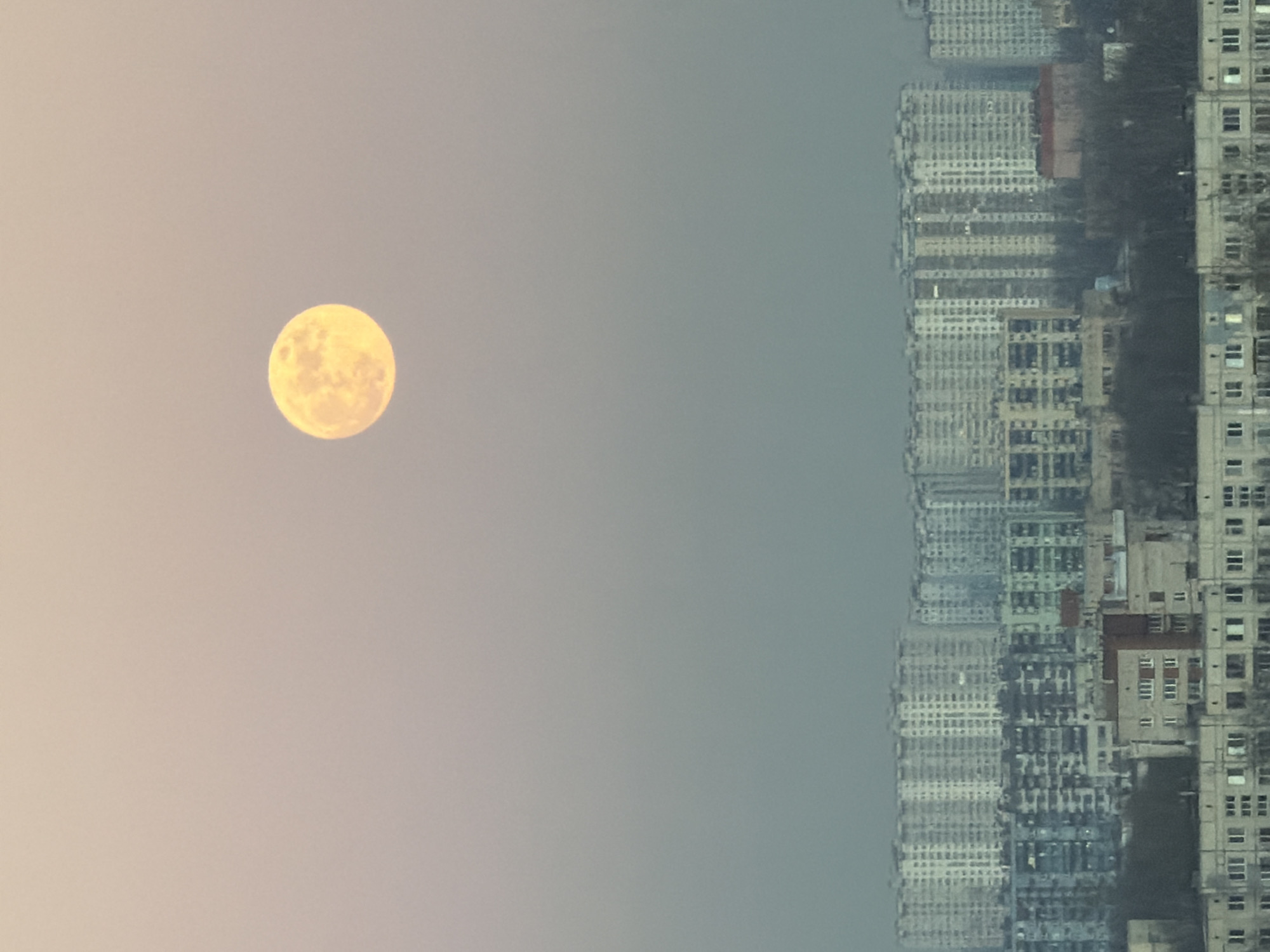The image shows a full moon in the sky next to a blurry row of high-rise apartment buildings in Vsevolozhsk, Russia. The buildings appear to be densely packed and vary slightly in color from grey to blue-grey.