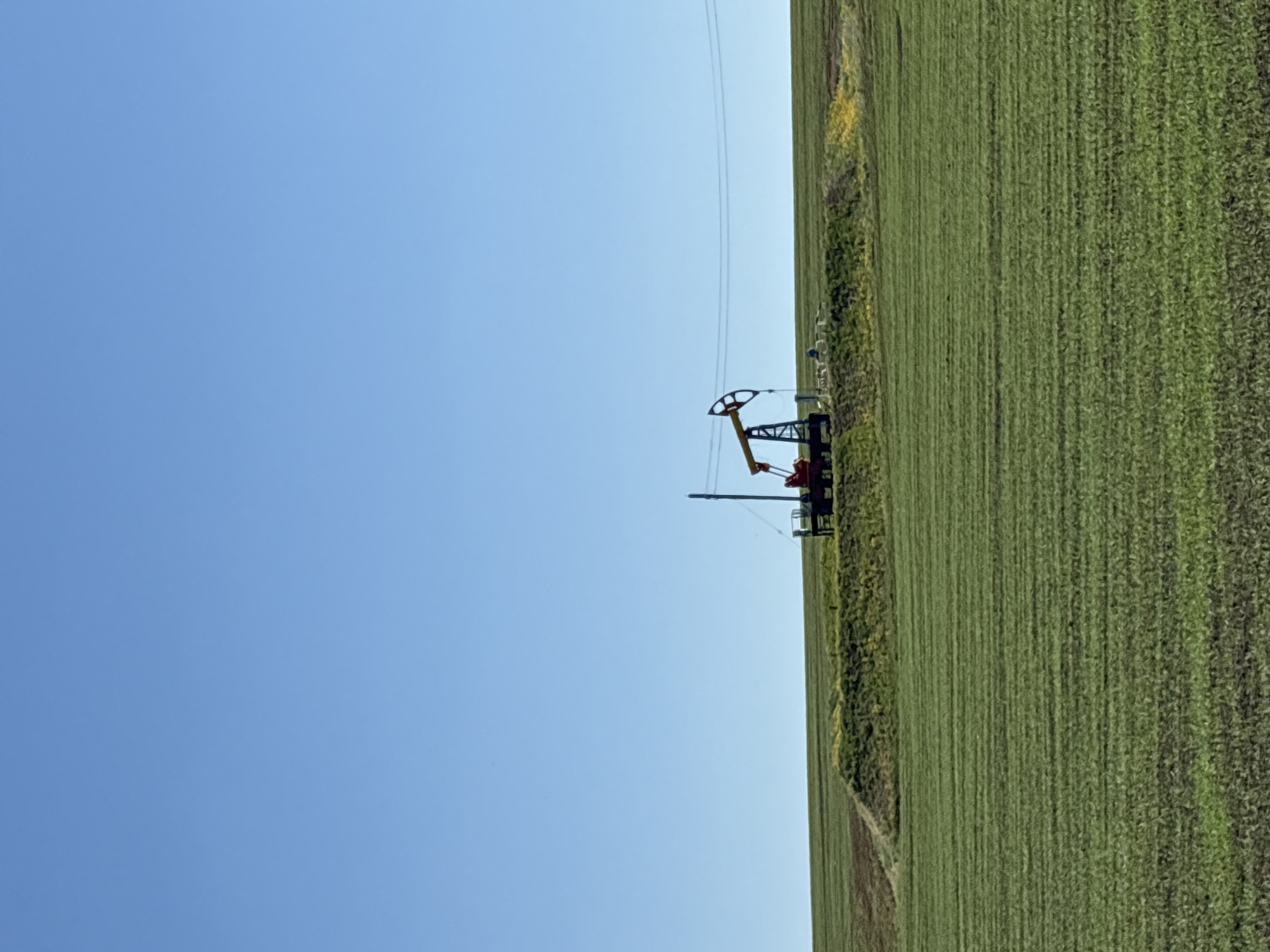 The image presents a rural scene under a clear blue sky. Dominating the right side is a large, green field with a distinct, linear pattern suggesting crops planted in rows. Situated at the edge of the field is an oil well pump jack. Power lines stretch across the scene. The exact location in Zvyozdny, Russia, is not discernible from the image itself. No people are visible.