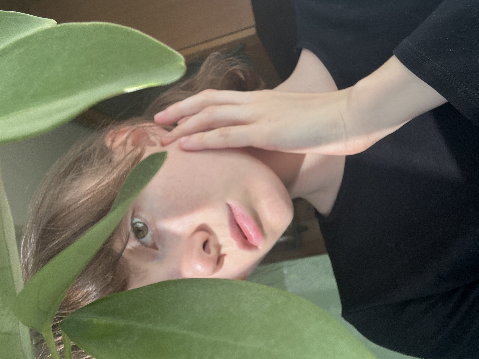 A person with fair skin and brown hair is partially obscured by large green leaves. The person is wearing a black top and their hand is near their face. The background is out of focus, showing hints of a wooden surface and a light green surface. The image appears to have been taken indoors, possibly near a window due to the lighting. There is no information in the picture provided to determine the location of Moscow, Russia.