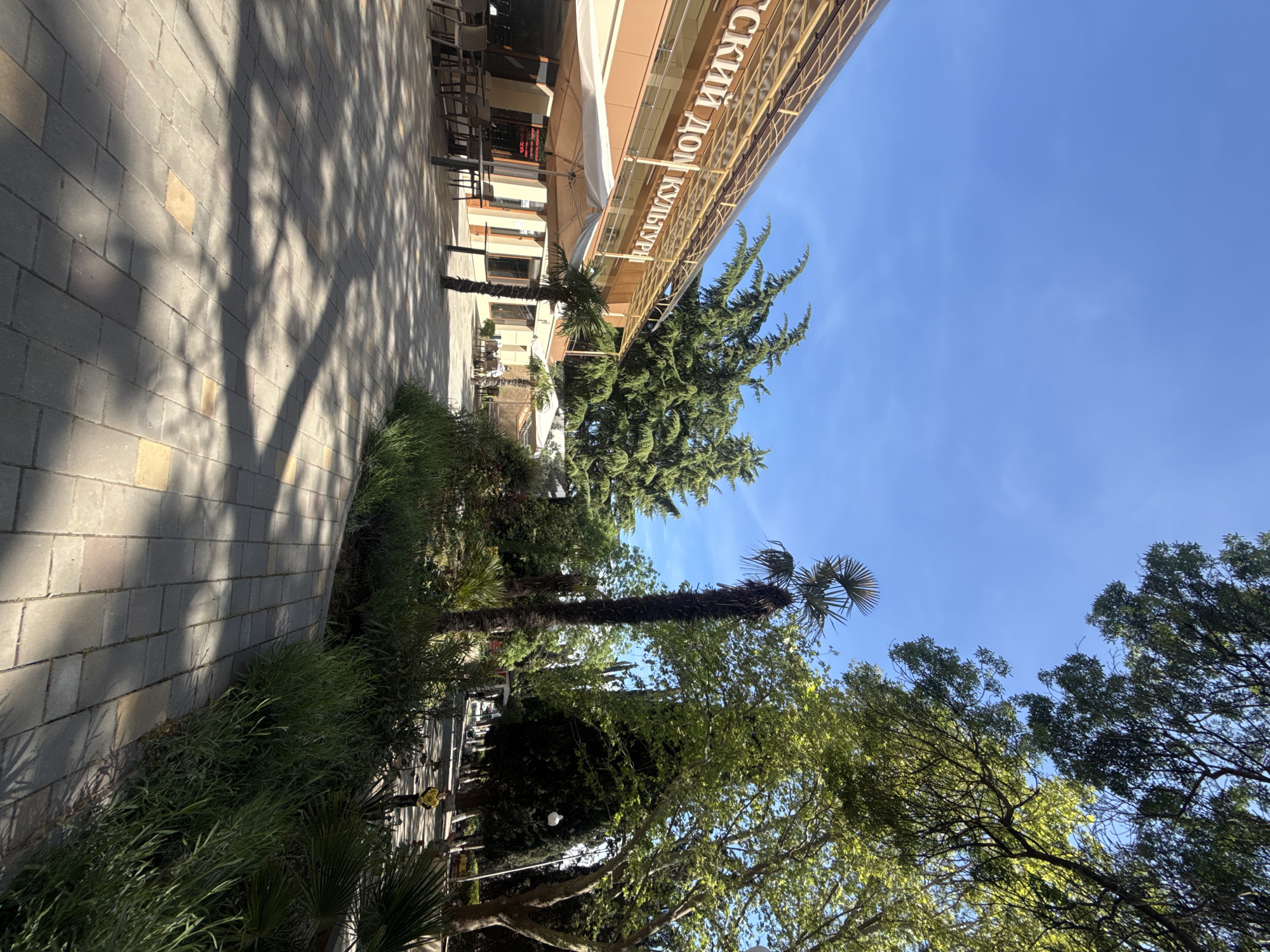 The image captures a sunny day on a pedestrian walkway in the city of Unknown, Unknown. A paved walkway stretches along the left side of the frame, marked with shadows from trees. Adjacent to the walkway is a strip of greenery featuring various plants, including what appear to be palm trees. Beyond this, there is a building with a prominent sign in a foreign language, part of which is visible: "СКИЙ ДОМ КУЛЬТУРЫ". Tables and chairs suggest a restaurant or café area. The sky above is clear blue. Trees are visible to the right, their foliage adding to the lush feel of the scene.