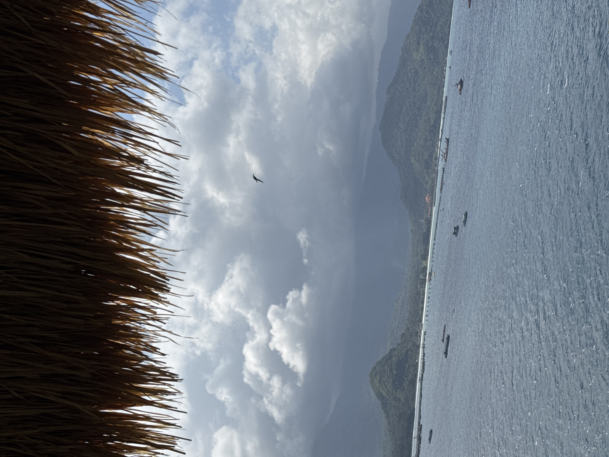 A view from under a thatched roof shows a body of water with several boats and a distant shoreline of green hills. The sky is partly cloudy, with a single bird visible in flight. The water is a deep blue, with ripples on the surface. A long pier stretches out into the water near the shore. The thatched roof covers the top of the image, obscuring the sky.