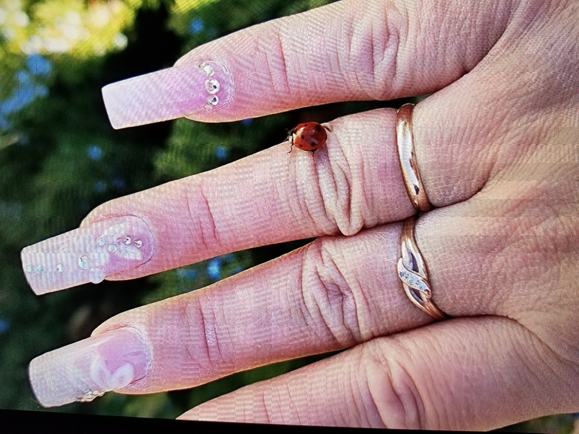 The image is a close-up of a hand with long, light pink, artificial nails. The nails are decorated with small rhinestones and a floral design on the index finger. Two rings are visible on the fingers. One ring, on the ring finger, is gold and has two small diamonds. Another gold ring is on the middle finger. A ladybug is perched on the ring finger, between the two rings. The background is blurred and appears to be greenery, suggesting an outdoor setting. There is no indication of the location being Tiraspol, Moldova.