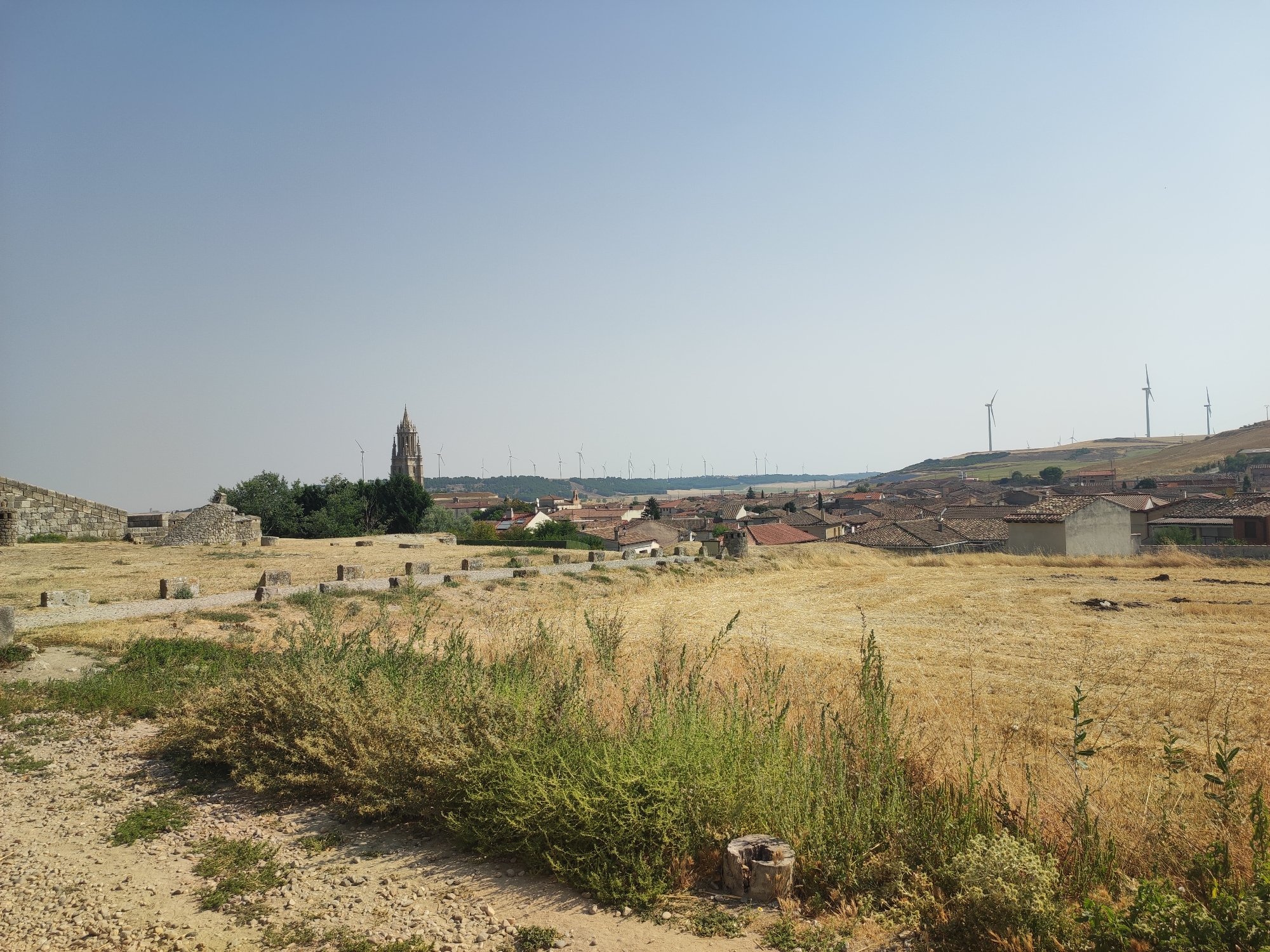 The image shows a panoramic view of the town of Ampudia, Spain, dominated by a clear, pale blue sky. In the foreground, there is an area of dry, golden grass with some scattered green vegetation and small rocks on a dirt path. To the left, remnants of stone walls and structures are visible, suggesting an ancient or historical site.
In the middle ground, the town of Ampudia unfolds with its characteristic terracotta-tiled roofs. A tall, gothic-style bell tower, likely part of a church, stands prominently amongst the buildings. The town is nestled on a gentle slope, with a backdrop of hills.
On the horizon, a wind farm with numerous white wind turbines is spread across the landscape, indicating the presence of renewable energy infrastructure. The overall impression is one of a rural Spanish town with a blend of historical ruins and modern energy production, set against a vast, clear sky. There are no people visible in the image.
