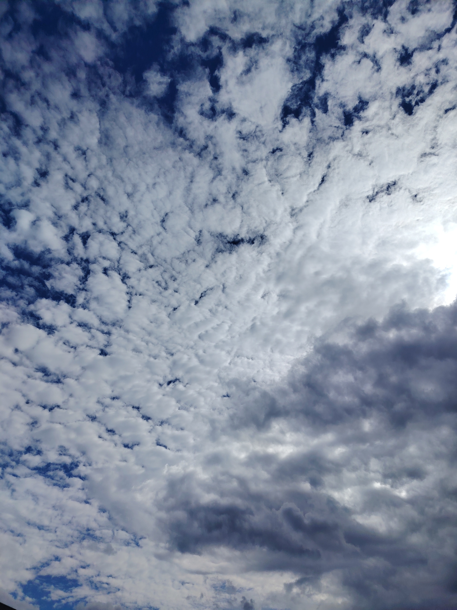 This is a close-up, vertical, outdoor, daytime shot of the sky. The image is dominated by a mix of clouds. In the upper left and central portions of the image, there are numerous small, fluffy white clouds with patches of deep blue sky visible between them. This creates a textured, scattered cloud pattern. As the image moves towards the right and bottom, the clouds become larger, denser, and darker. The rightmost part of the image features bright, diffused sunlight peeking through a break in the clouds. The overall impression is one of a dynamic and varied sky.