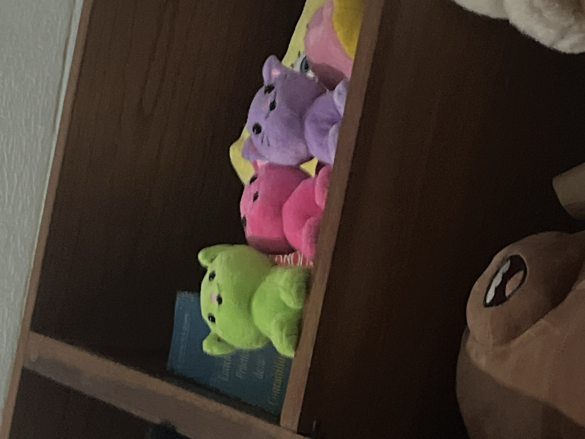 Three small, plush cat toys are arranged on a wooden shelf. From left to right, they are lime green, pink, and purple. The lime green cat is sitting upright with its paws in front. The pink cat is curled up, and the purple cat is also sitting upright, looking to the right. A blue book is visible behind the green cat. The background is a dark wooden shelf with a textured white ceiling above. The scene appears to be indoors. There is no information or visual cue to indicate the location of Santa Ana, Venezuela.