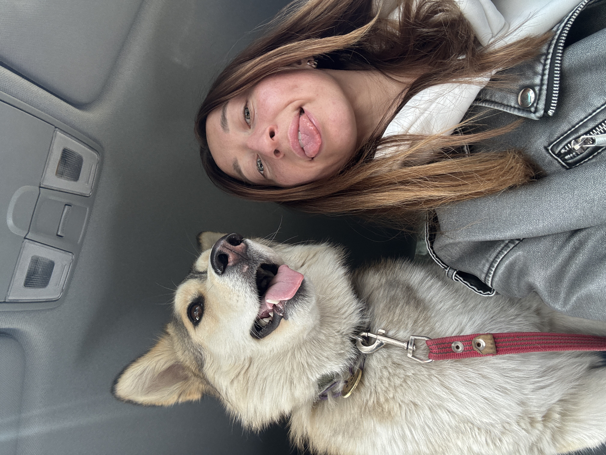 A woman and a dog are positioned in the interior of a car. The woman is in the upper right of the frame, sticking her tongue out. She has shoulder-length brown hair and is wearing a white hoodie under a gray leather jacket. The dog, a husky-like breed with cream and gray fur, is in the lower-left of the frame, with its tongue out. It is wearing a collar and red leash. The car's interior features a gray roof lining, and an overhead console with controls. The location of the scene is unknown, and there is no information indicating it is Прикамский, Russia.