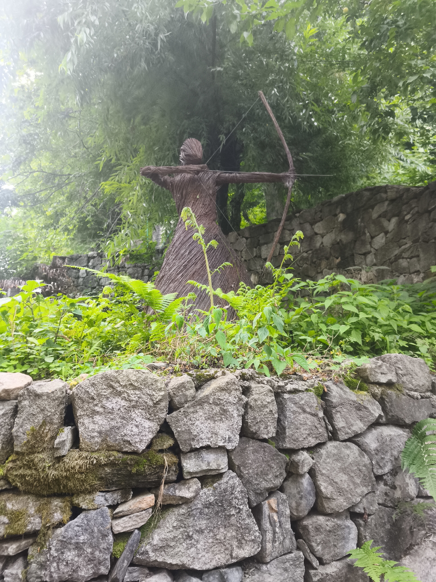 This media file depicts a rustic, outdoor scene in Old Manali, India, likely during the day. The foreground is dominated by a low, rough-hewn stone wall, partially covered in moss and lichen, suggesting a damp environment. Behind this wall, vibrant green foliage, including ferns and other leafy plants, flourishes.
The central subject is a figure constructed from wood, resembling a scarecrow or an artistic representation of a person. This figure is posed as if holding a bow and arrow, with outstretched arms and a wooden bow drawn back. The texture of the wood is prominent, appearing to be made of twisted branches or reeds, giving it a natural, organic feel. The figure's head is also made of wood, with a conical shape.
In the background, more lush green trees and foliage are visible, with a hazy, slightly misty quality to the air, particularly in the upper left portion of the image. This mist could indicate a cloudy day, early morning, or post-rain conditions. A stone wall, similar to the one in the foreground but larger and more established, runs horizontally across the mid-ground, separating the lower planting area from the background greenery. The overall impression is one of a tranquil, natural setting with an artistic, handcrafted element. There is no visible text in the media file.