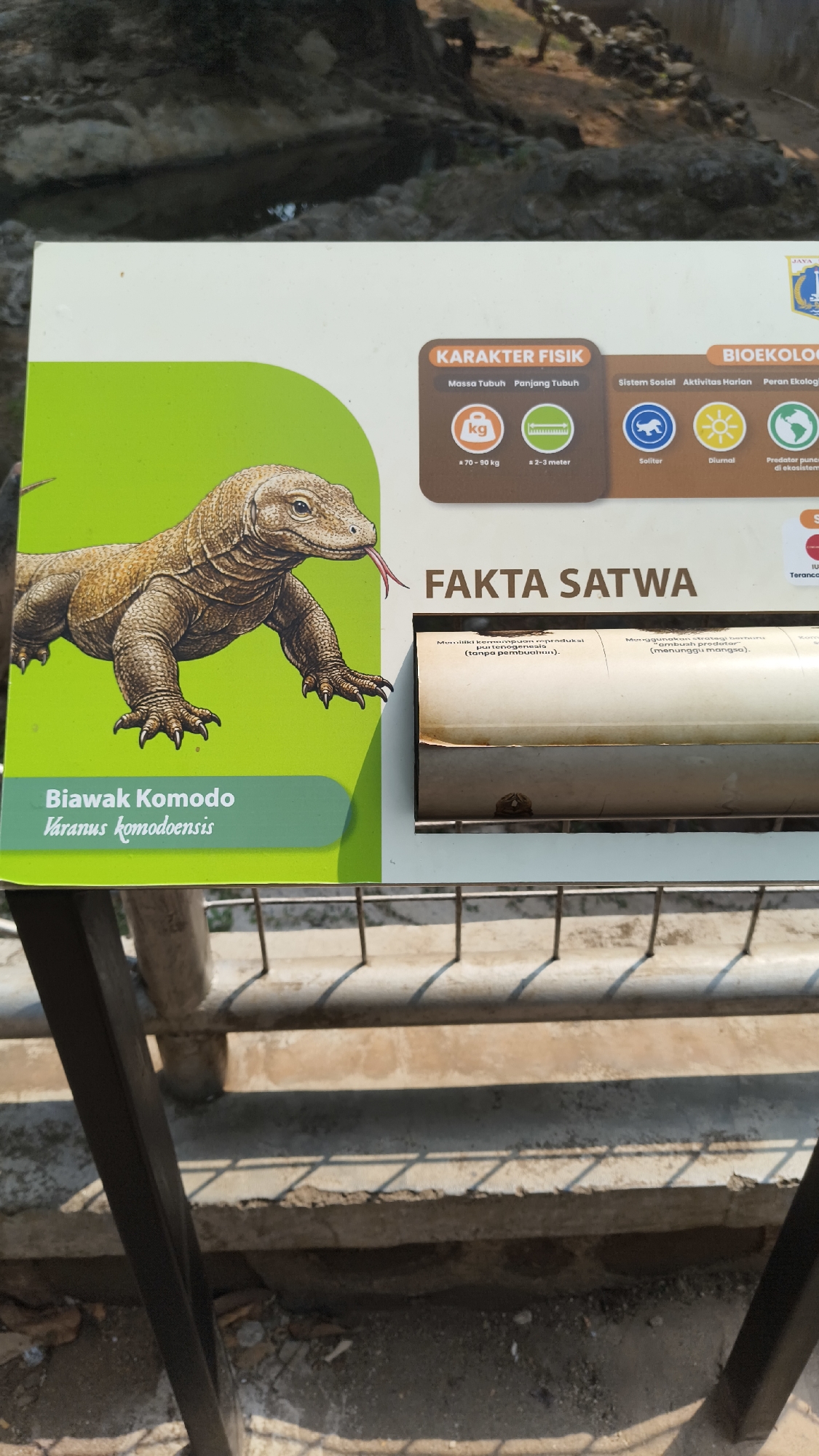 The image shows a sign in what appears to be an outdoor enclosure, likely a zoo or wildlife park. The sign features an illustration of a Komodo dragon on the left side, with descriptive text in Indonesian below it, identifying the animal as "Biawak Komodo" and its scientific name as "Varanus komodoensis." To the right, the sign has sections titled "KARAKTER FISIK" (Physical Characteristics) and "BIOEKOLOG" (Bioecology), detailing aspects like weight, length, social behavior, daily activity, and ecological role. The sign is placed against a backdrop that suggests a natural habitat with rocks and possibly water. In the background, there are hints of human-made structures, possibly fencing or railings. The overall lighting suggests it is daytime. The location within the city of South Jakarta, Indonesia, is not explicitly visible in the image itself but could be inferred from context if this were part of a larger set of information or if the sign itself contained location details not captured in this frame.