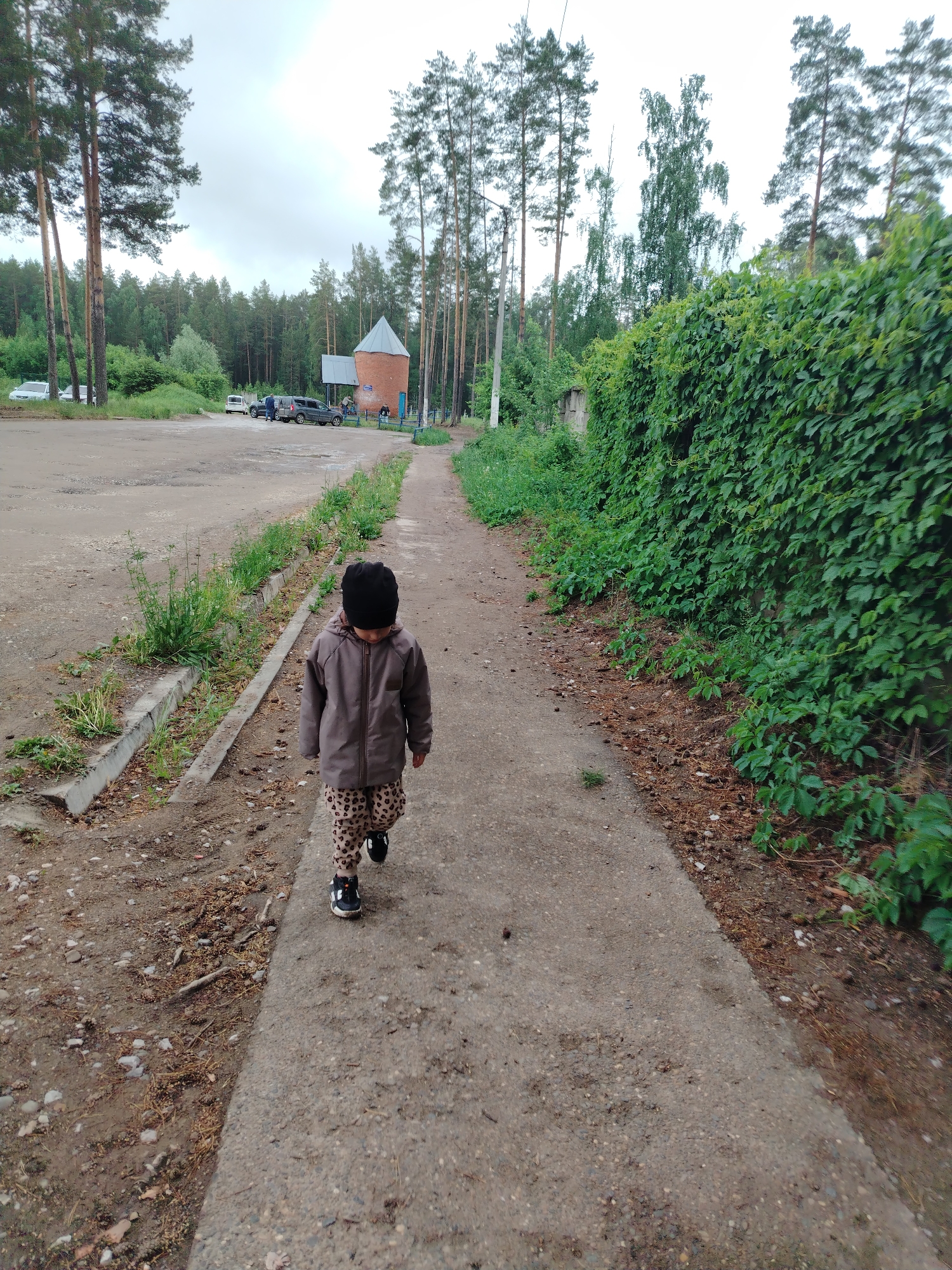 A child in a brown jacket and leopard-print pants walks along a concrete path away from the viewer. The child wears a black beanie and black shoes. To the left of the path is a concrete curb with vegetation growing. To the right is a wall covered with green vines. In the background, there is a clearing with parked cars and a small brick tower with a conical roof. Pine trees are visible in the distance and overhead. The sky is overcast. The location is Noviy, Russia.