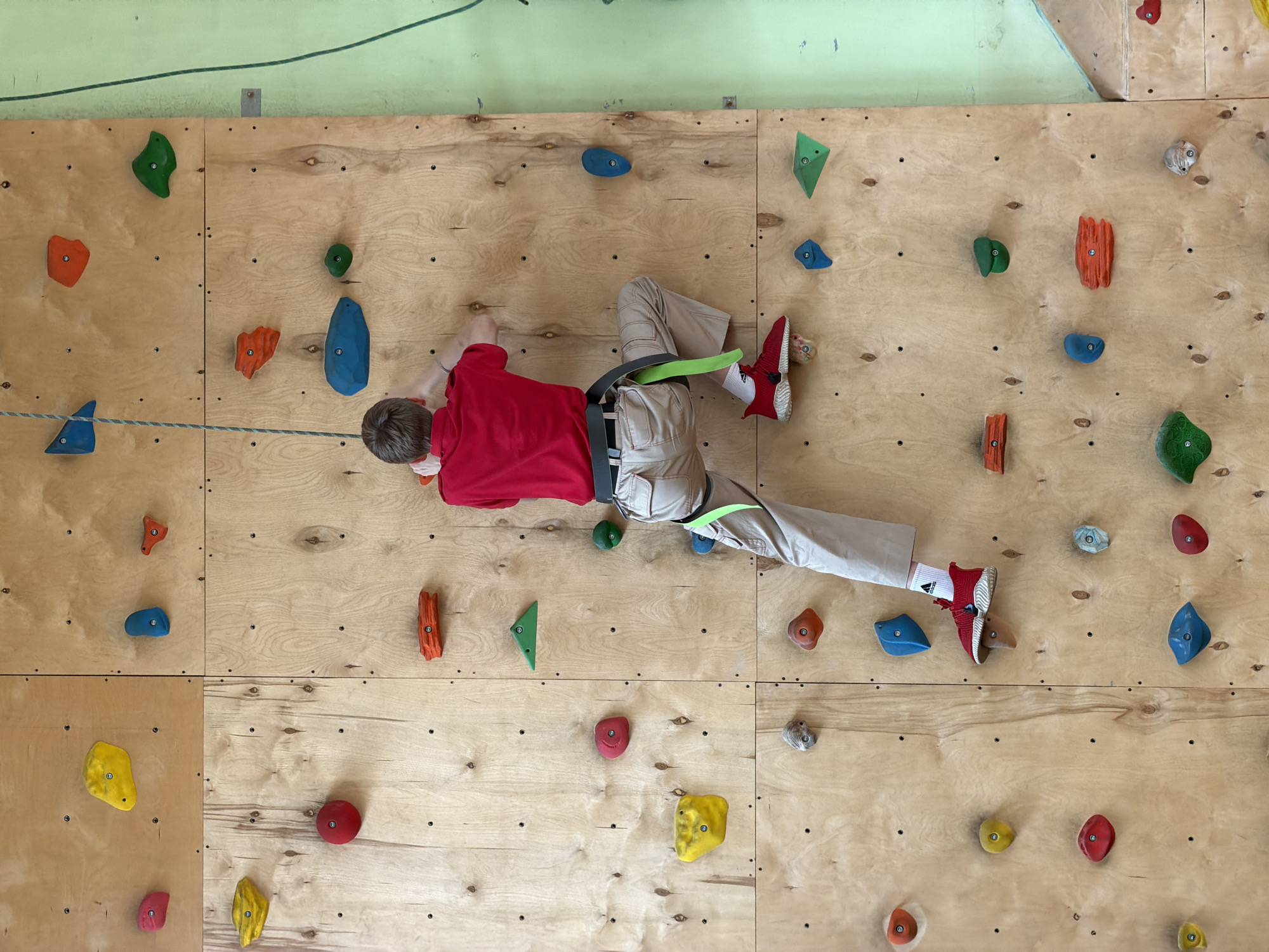 This image presents a high-angle view of a young person rock climbing on an indoor wall. The climber, likely a child or teenager, is seen horizontally across the frame, wearing a red long-sleeved shirt, light brown khaki pants, a black climbing harness with a bright green leg loop, and red athletic shoes with white socks. The shoes display the Adidas logo and text. Their left hand reaches for a hold, while their right foot is placed on another, indicating active movement during the climb. A blue and white patterned rope is attached to their harness, running across the wall.
The climbing wall itself is constructed from light-colored plywood panels, meticulously covered with numerous colorful climbing holds of varying shapes and sizes. These holds come in shades of red, orange, green, blue, yellow, and gray/white. Some of the holds bear a small circular marking with the number "1". The background above the climbing wall reveals a light green painted wall with a horizontal darker green line, suggesting a gymnasium or recreational facility. Metal fixtures are visible where the climbing wall meets the upper wall section. The overall scene depicts a focused and active individual engaging in indoor rock climbing in Izhevsk, Russia.