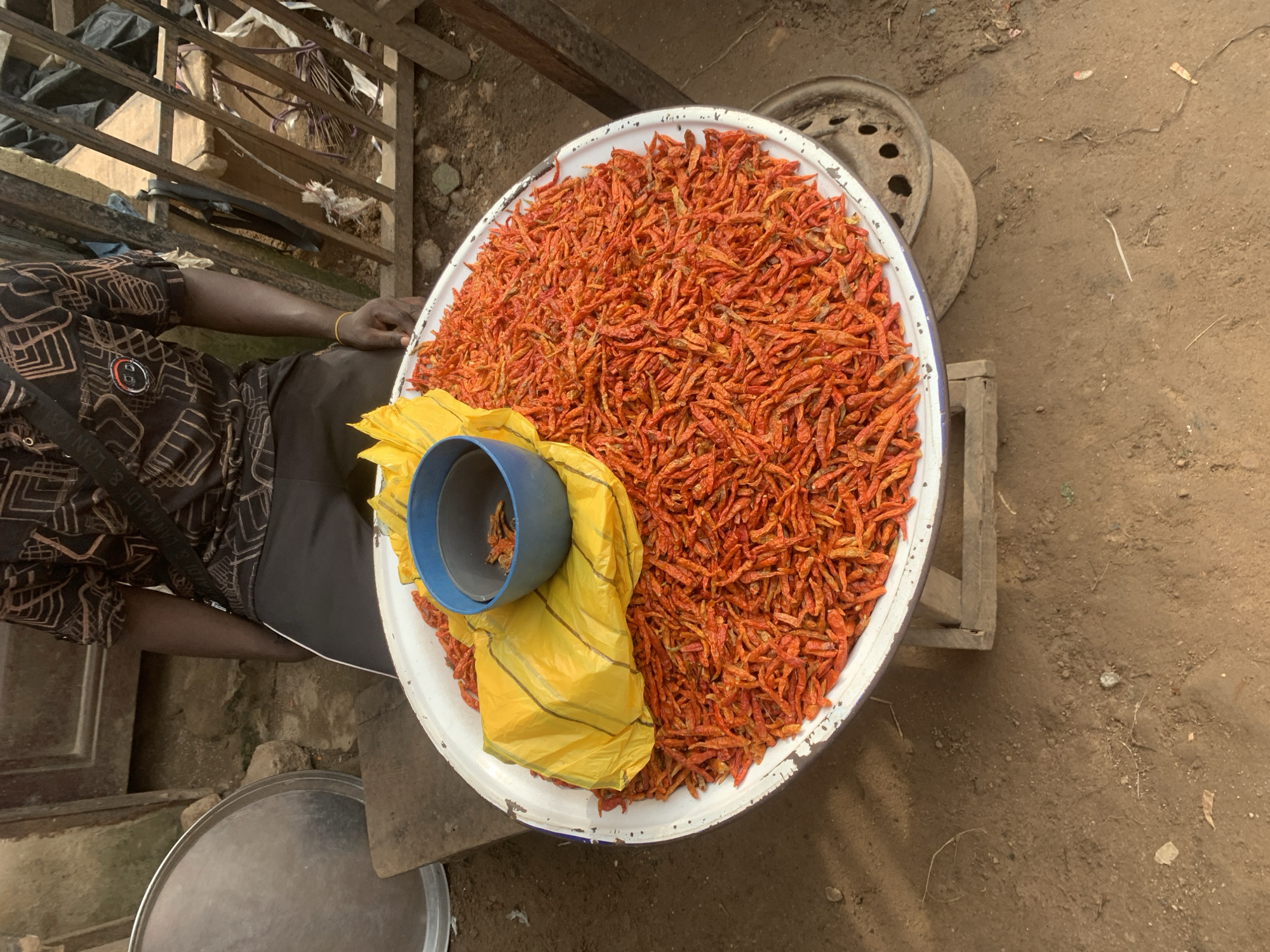 A person is seen from a high-angle shot, with their arm resting on a large, white, round tray filled with dried red chilies. The person is wearing a patterned shirt and dark trousers, with a yellow plastic bag and a blue plastic funnel resting on top of the chilies. The tray is situated on a wooden surface in an outdoor setting. In the background, there is a wooden structure, a metal object that appears to be a car wheel, and the ground is covered in dirt. The scene appears to be a market stall, possibly in Shagamu, Nigeria, given the context. The lighting suggests it is daytime, and the weather appears to be dry and possibly warm. There is no discernible text in the image. The overall impression is of a vendor at a market, preparing or displaying chilies for sale.