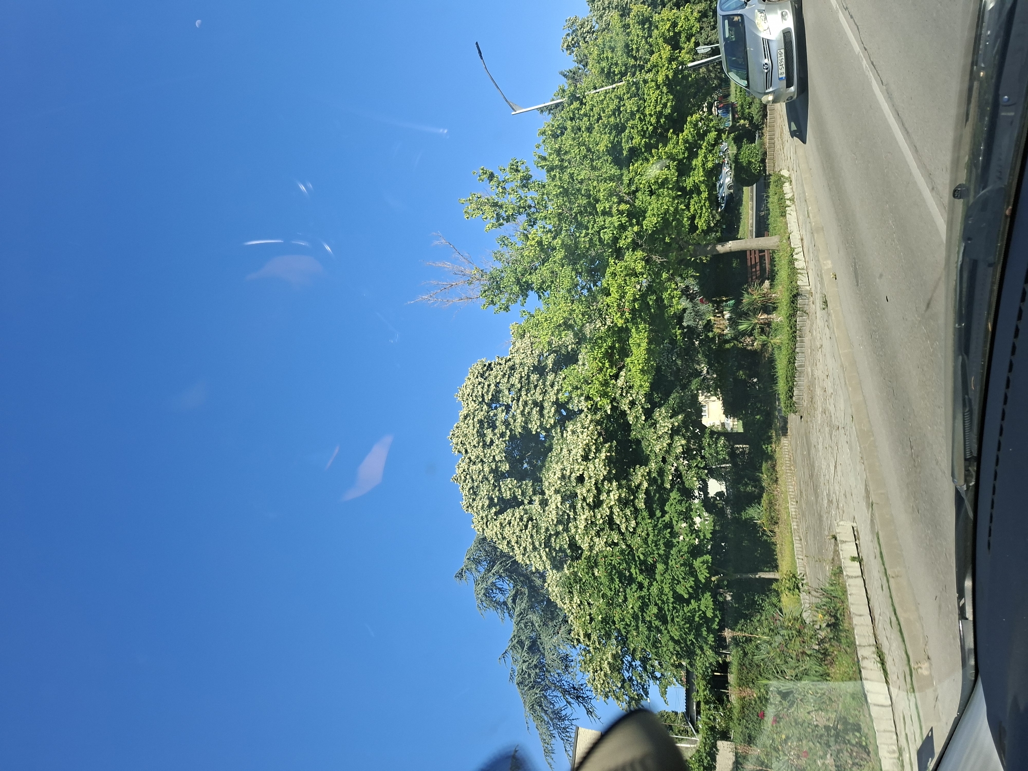The image depicts a street scene in Aksakovo, Bulgaria, under a clear blue sky. On the right side of the road, a silver Toyota car with license plate B 5496 HP is traveling. Beyond the road, a sidewalk runs alongside a green park area with various trees. A large tree with white flowers is prominent, alongside other lush green trees and some smaller shrubs. A wooden bench is visible in the park. The perspective suggests the photo was taken from inside a moving vehicle, looking out through the windshield.