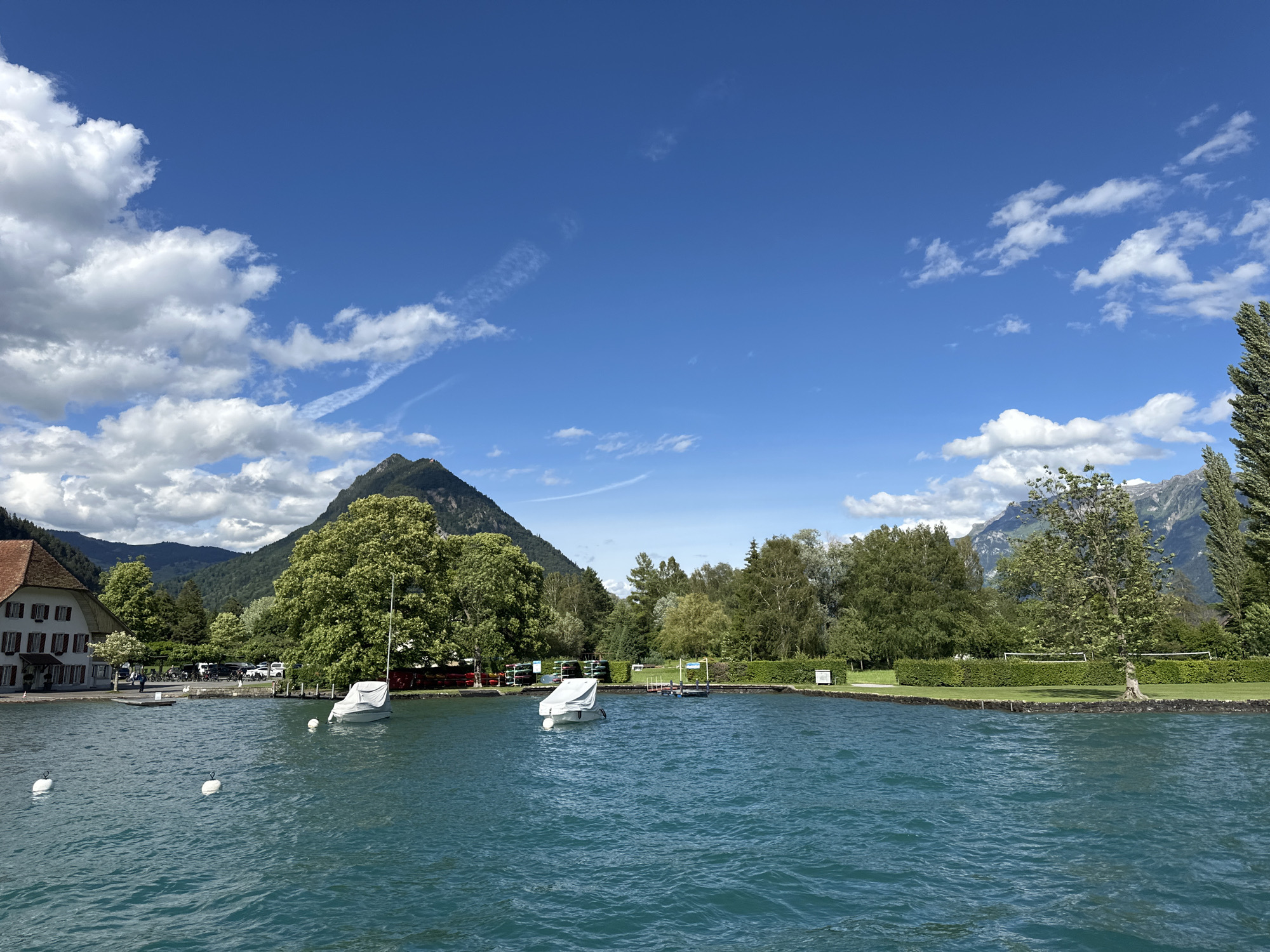 The image depicts a serene lake scene in Unterseen, Switzerland, under a bright blue sky dotted with fluffy white clouds. The foreground is dominated by the rippling turquoise waters of the lake. Several white buoys are visible, marking the water's surface. In the middle ground, two small white boats are moored on the lake; one is partially covered with a white tarp. Along the shoreline, a building with a red-tiled roof and brown shutters stands prominently on the left. Adjacent to the building, a line of parked cars and bicycles are visible. Further along the shore, a neatly manicured green lawn is bordered by a dark hedge, and beyond that, a forest of green trees stretches towards the mountains in the background. The mountains, some with lush green slopes and others appearing more rocky, form a dramatic backdrop to the scene. A tall evergreen tree stands on the far right of the image. Two volleyball nets are set up on the grassy area, suggesting recreational activities. The overall atmosphere is peaceful and idyllic.