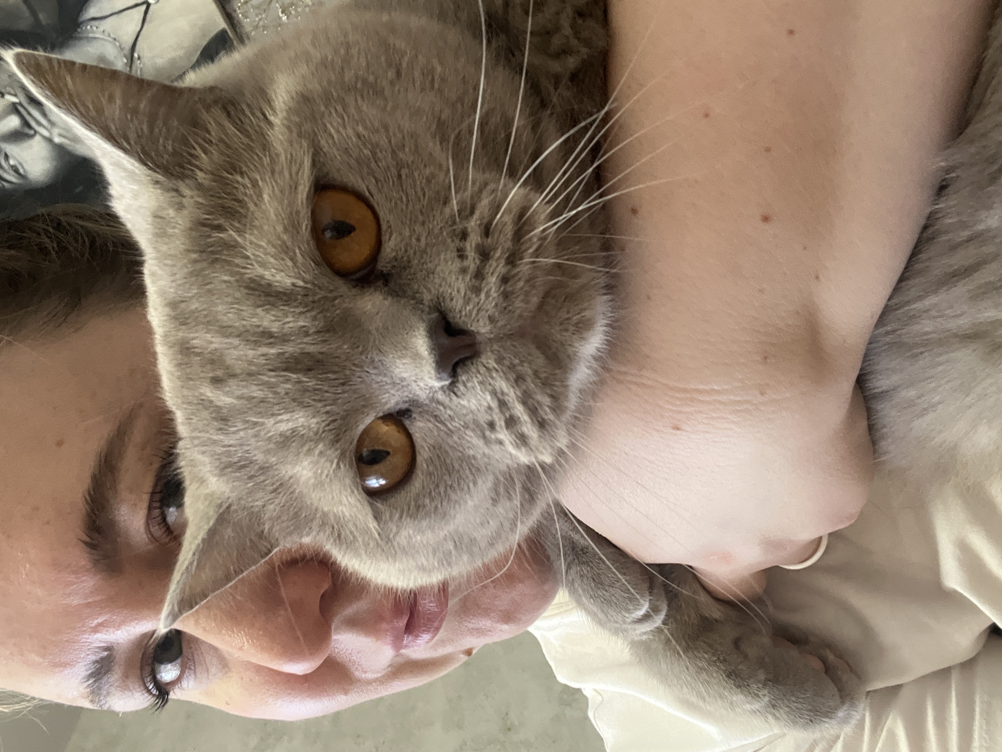 A close-up indoor shot shows a woman embracing a British Shorthair cat. The cat's face is prominent, featuring amber eyes and gray fur. The woman's face is visible, nestled alongside the cat. Her left eye is visible, suggesting she may be looking at the camera. The scene is illuminated by natural light. The location is Chaikovsky, Russia.