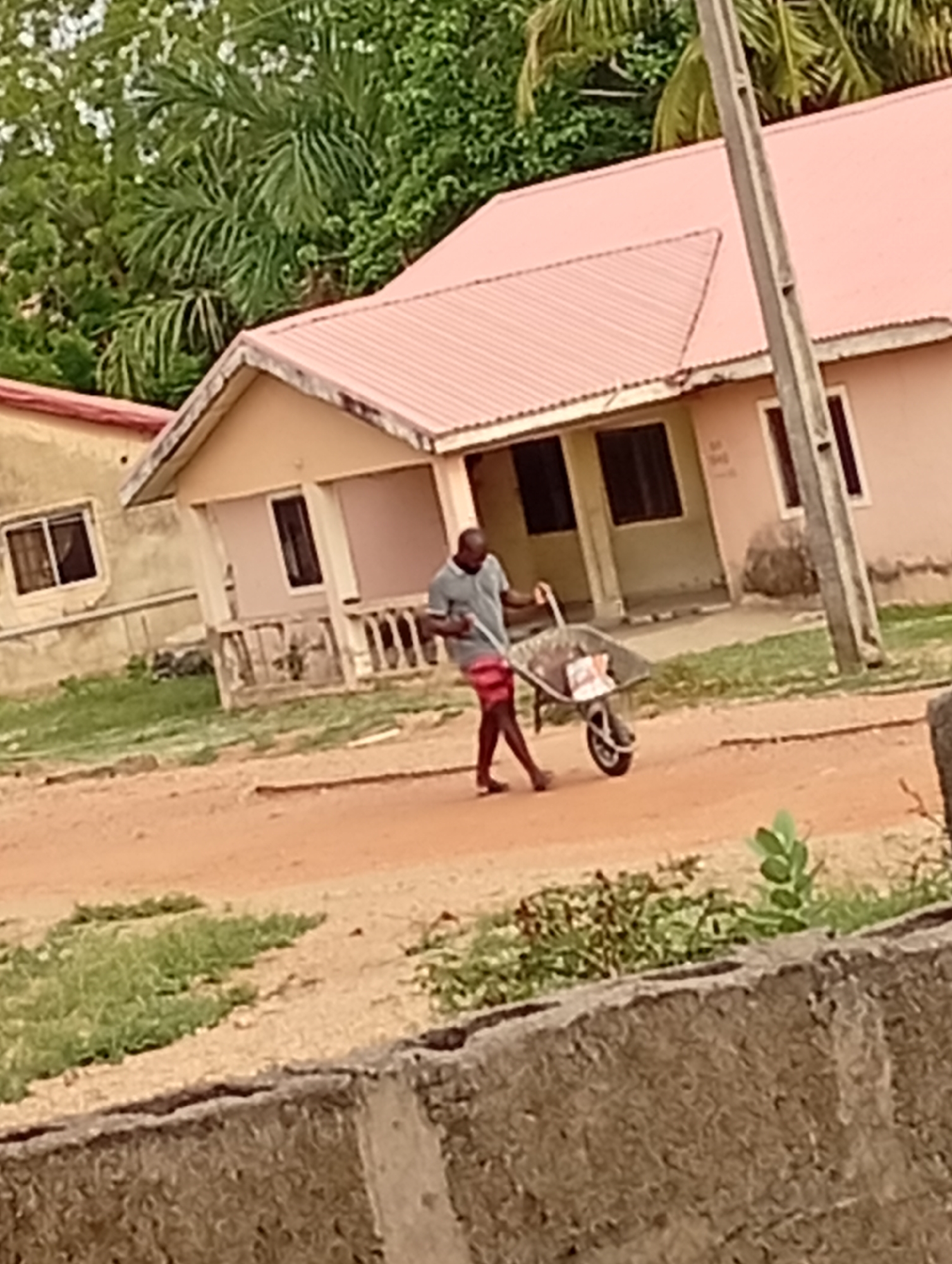 In Adankolo, Nigeria, a man walks across a dirt road, pushing a wheelbarrow toward the right of the frame. He is wearing a gray shirt and red shorts. The road is bordered by grass and a concrete wall in the foreground. Behind him, there are two buildings with pink roofs. The background includes trees and foliage. A utility pole stands near the building on the right.