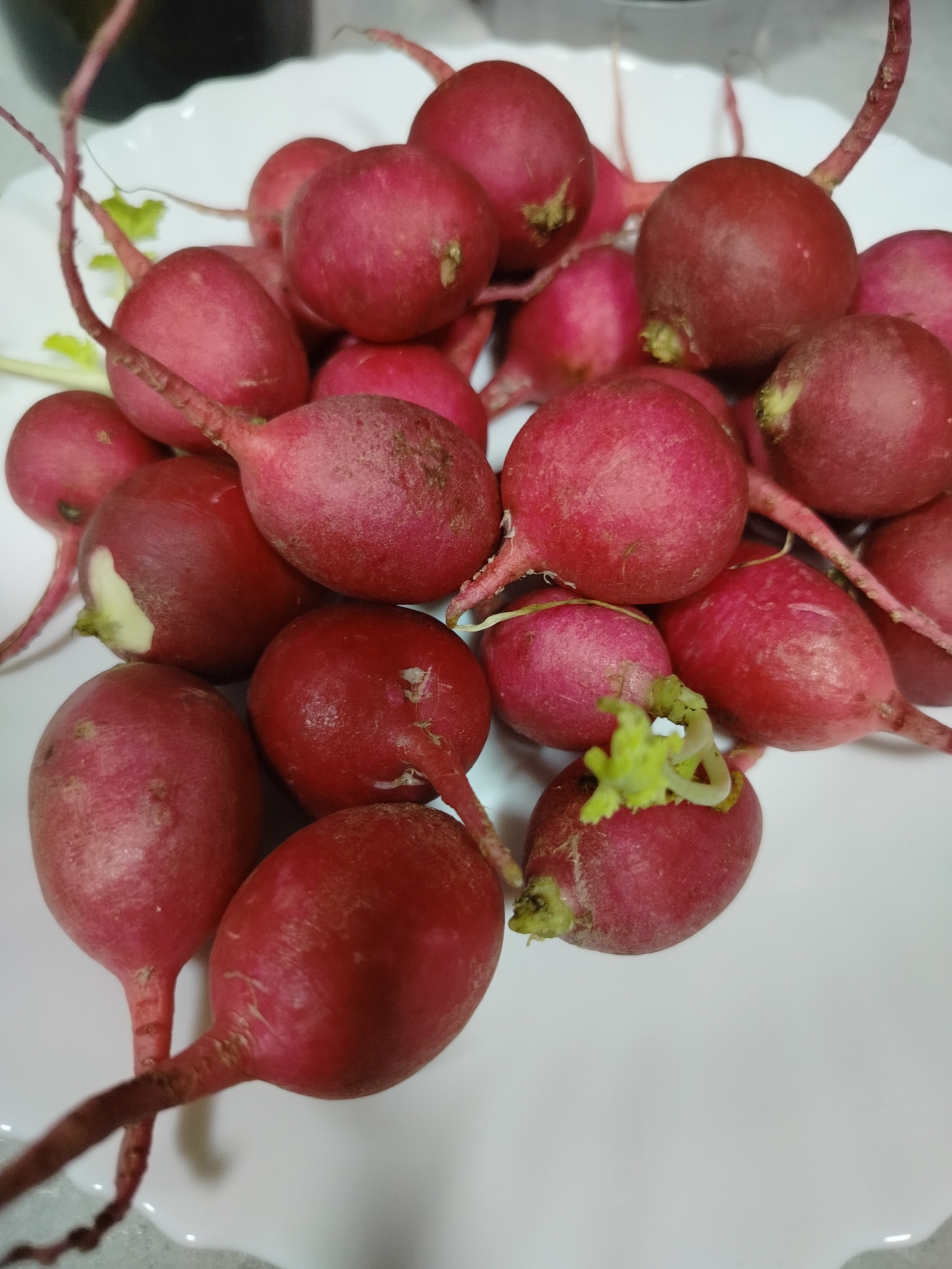 A close-up, overhead shot shows a pile of radishes on a white plate. The radishes are round to oval in shape, with vibrant red skin and some hints of white near the roots. They have thin, wispy green or reddish-brown stems attached. The lighting is bright, casting subtle shadows and highlighting the textured surface of the radishes. The background is blurred, but appears to be a white surface with some darker areas possibly indicating a countertop or other kitchen environment. There is no visible connection to the city of Novosibirsk, Russia, or any specific location. The image is a still life composition focusing solely on the produce.