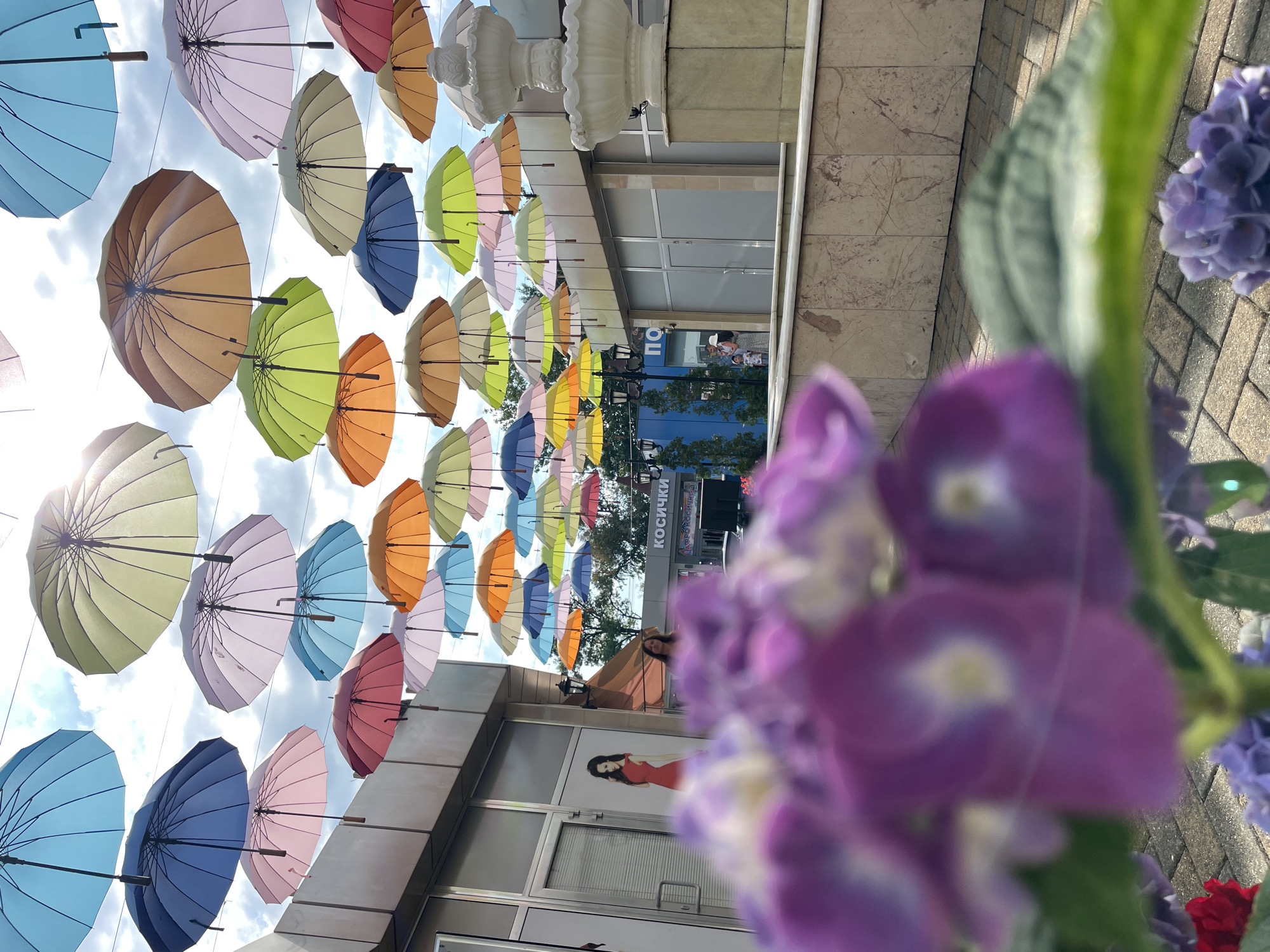 In Sochi, Russia, a vibrant display of colorful umbrellas hangs suspended in the sky, creating a picturesque canopy above an outdoor walkway. The umbrellas, in shades of blue, pink, green, orange, and yellow, are strung across a clear day with scattered clouds. Below the umbrellas, a row of storefronts lines the walkway, some featuring advertisements and mannequins. A woman stands near one of the shops, and a couple with a child are visible in the distance. In the foreground, out-of-focus purple flowers add a touch of nature's beauty to the scene. A decorative fountain on the right side of the frame contributes to the charming ambiance. The ground is paved with interlocking bricks, and a marble-patterned wall separates the walkway from a lower level.
