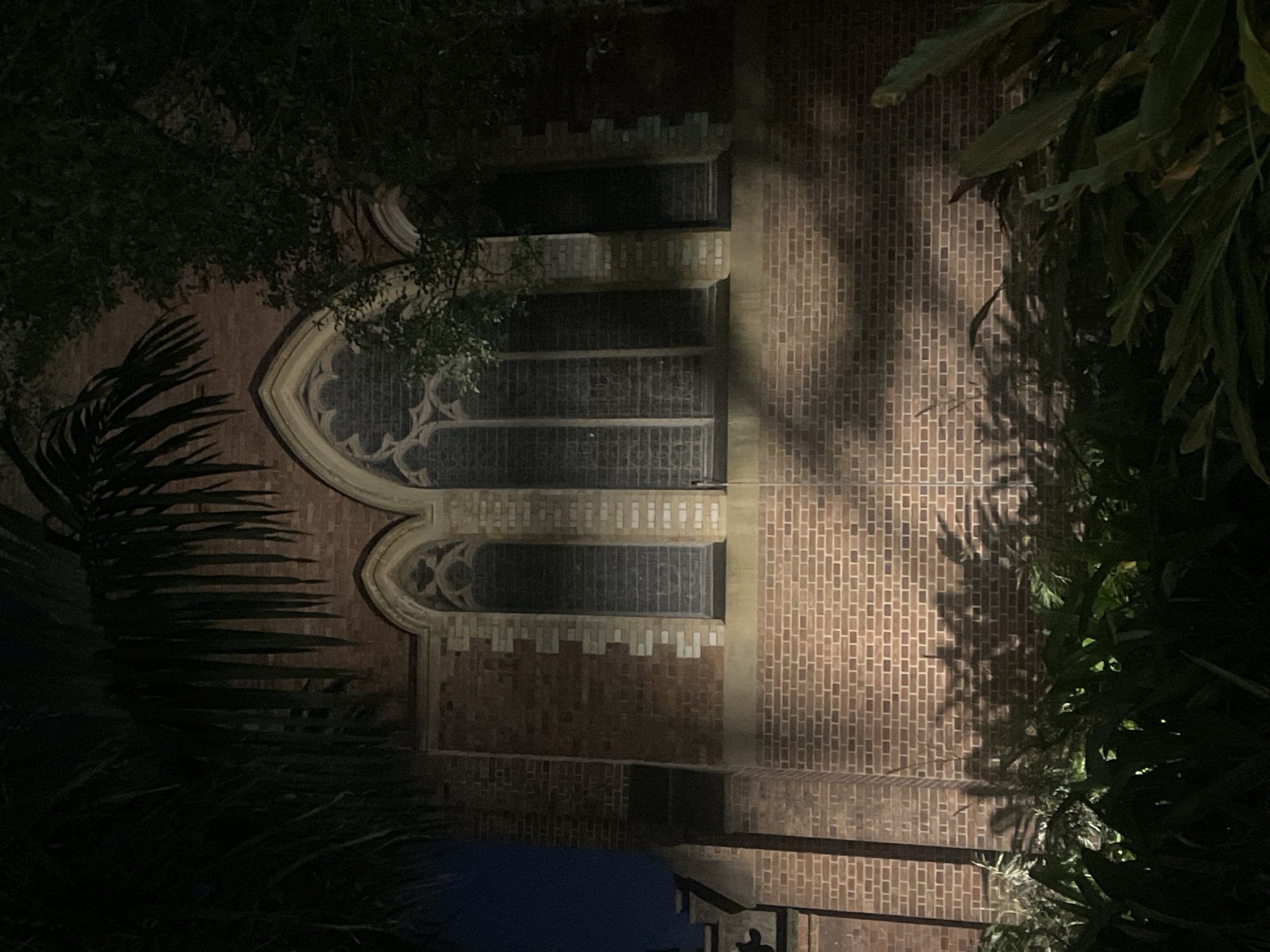 The image shows the exterior of a brick building, possibly a church, at night. The building has Gothic-style arched windows with decorative tracery. The brickwork is visible, and there is a shadow cast on the wall from foliage in the foreground. The lower part of the image is filled with dark green plants. The overall lighting suggests it is nighttime, with artificial lights illuminating the building. The style of architecture and the presence of palm fronds in the upper left corner are consistent with locations in Brisbane, Australia.