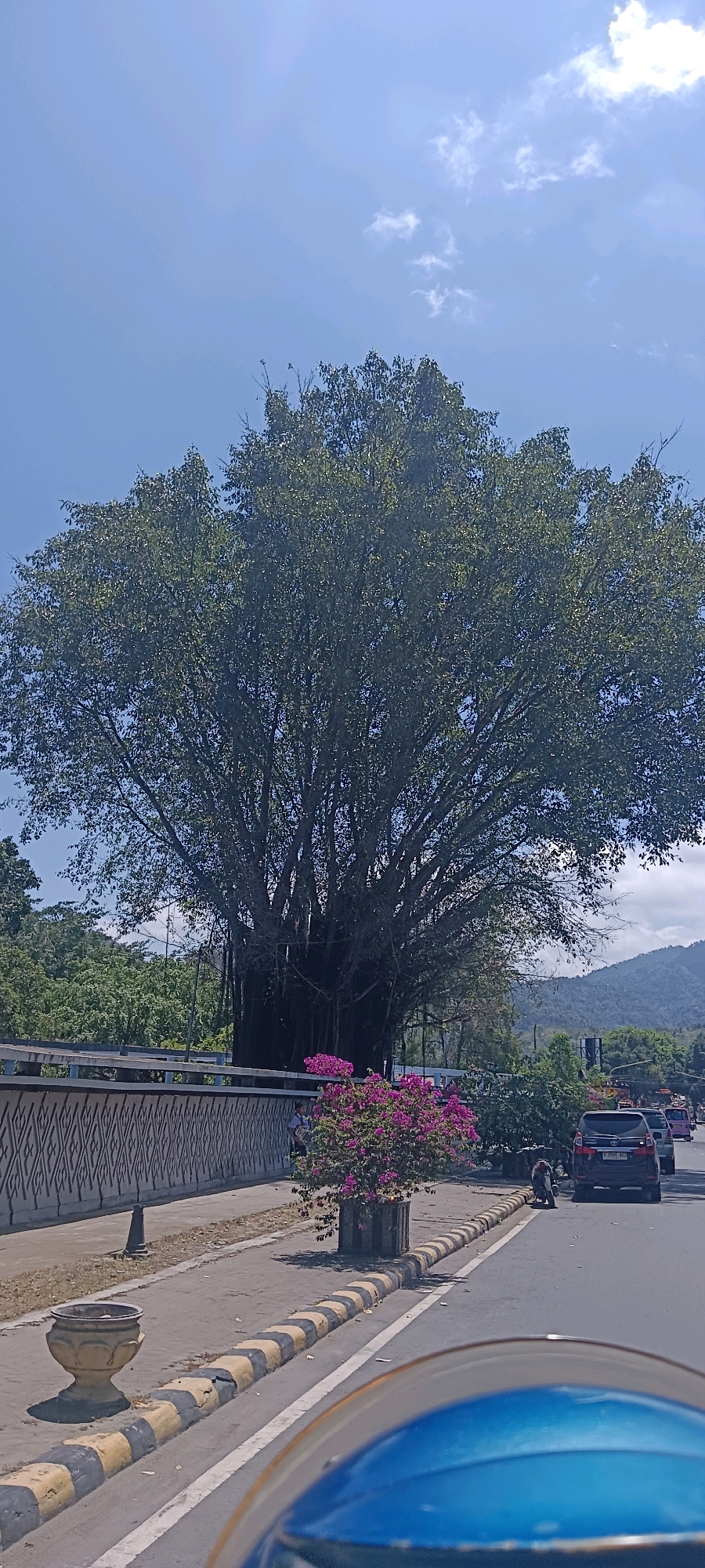 This image depicts a street scene in Ende, Indonesia, under a clear blue sky with scattered clouds. The prominent feature is a large, mature tree with a broad canopy, its branches spreading wide over the roadway and sidewalk. The tree has a complex structure, with aerial roots hanging down, characteristic of a banyan tree.
In the foreground, a portion of a blue object, likely the windshield or mirror of a vehicle, is visible, suggesting the photo was taken from a moving vehicle. To the left, a sidewalk runs alongside a decorative fence with an intricate geometric pattern. A planter with vibrant pink flowers sits on the sidewalk near the fence.
The street itself is visible, with a curb marked with alternating yellow and black stripes. Several vehicles are present on the road, including a dark-colored SUV and other cars in the background. A small, dark figure, possibly a person or an animal, is seated on the ground near the curb. Further down the road, more vehicles and greenery are visible, with hills forming the distant background. The overall scene conveys a sense of everyday life in a tropical urban environment.
