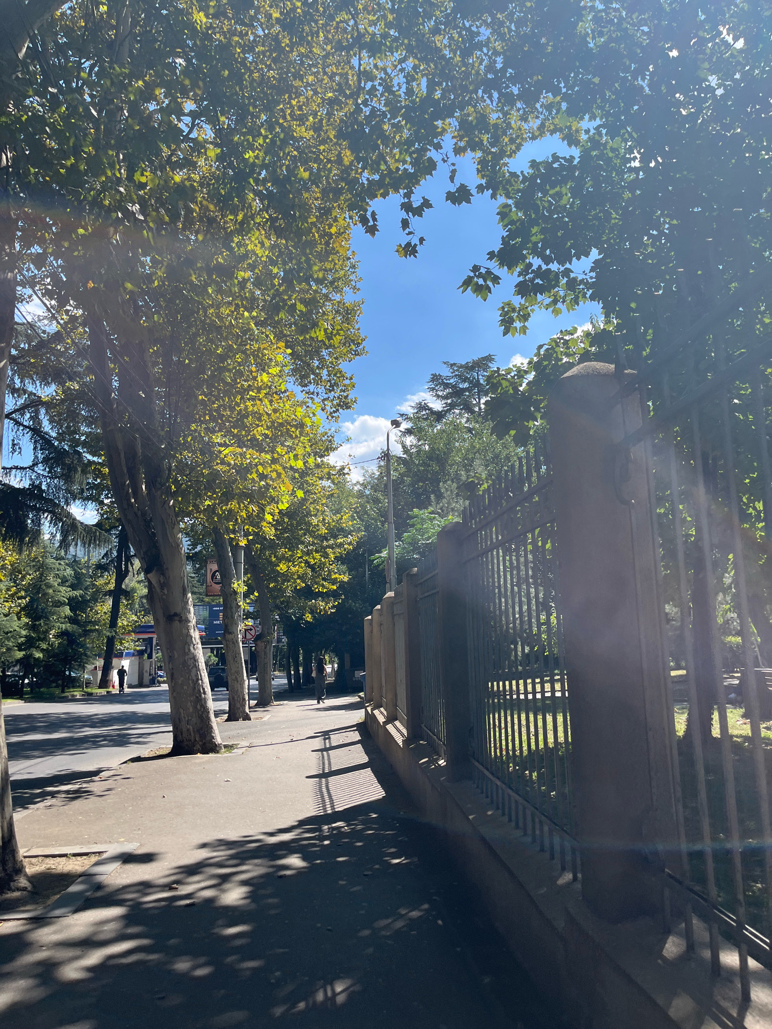 The image depicts a tree-lined street in Tbilisi, Georgia, under a clear blue sky with scattered clouds. The sun shines brightly, casting long shadows across the sidewalk and street. Tall, mature trees with large leaves dominate the left side of the frame, their branches creating a canopy that filters the sunlight. A paved sidewalk runs along the street, with a line of trees and a dark metal fence bordering the right side.
On the sidewalk, a person is walking away from the camera. Further down the street, another person is visible, appearing to walk towards the camera. The street itself is paved and appears to be an urban thoroughfare, with vehicles and buildings suggested in the background but not clearly detailed. The overall impression is one of a sunny day in a well-established urban environment.