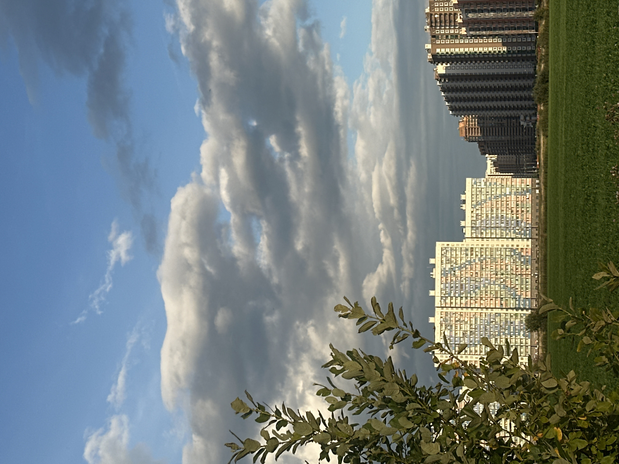 In Murino, Russia, a partially visible tree with green leaves occupies the left foreground. Beyond the tree, a vast expanse of green grass stretches towards a series of tall, modern residential buildings. The buildings are varied in height and design. The leftmost building is a large, light-colored structure with many windows, featuring colorful accents of pink, blue, and yellow. To its right, a cluster of buildings with darker facades and numerous balconies rises, some appearing to be under construction. In the background, the sky is a mix of bright blue and large, fluffy white and gray clouds. The lighting suggests it is daytime, possibly late afternoon.