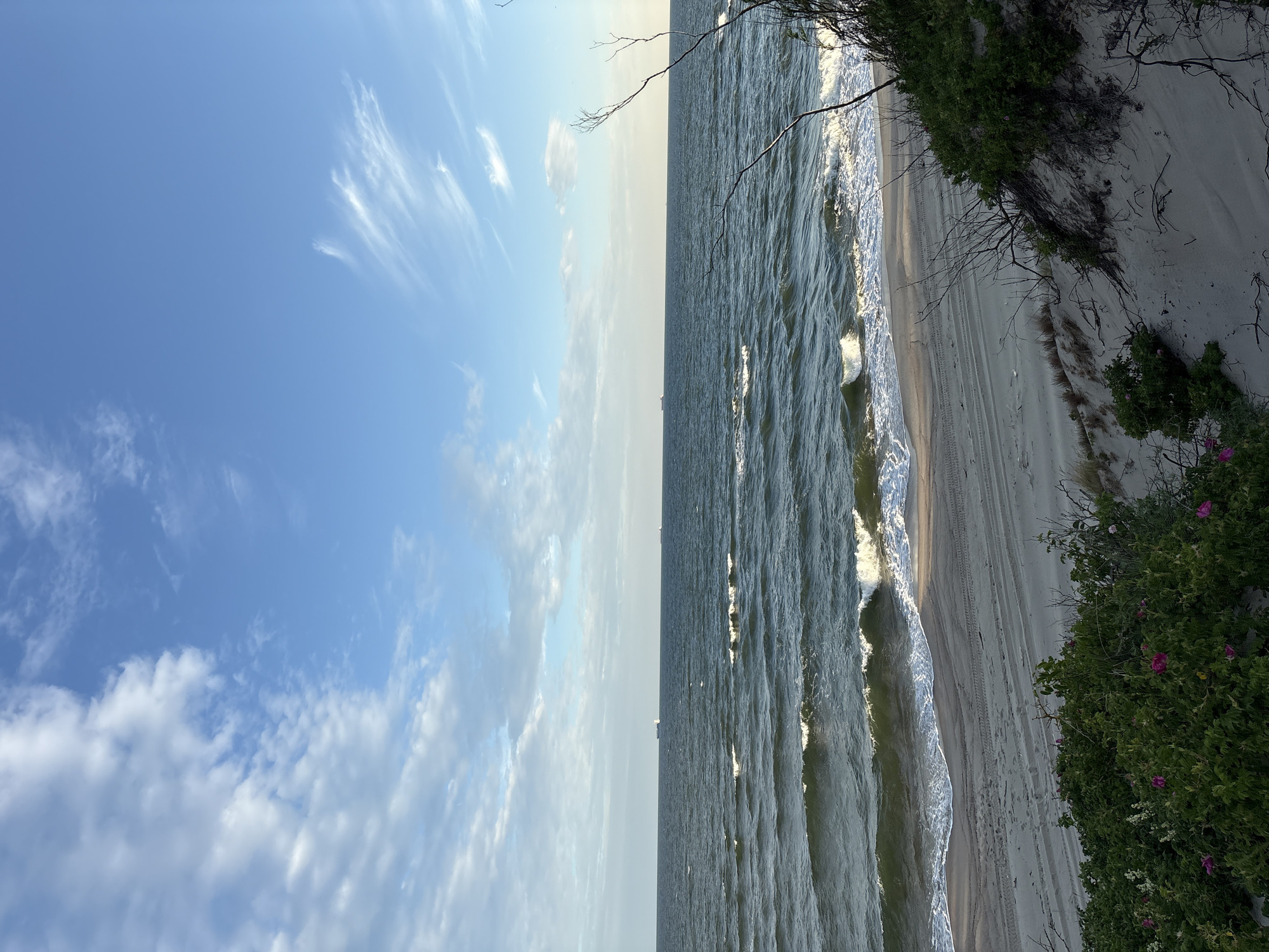 The image depicts a serene coastal scene in Baltiysk, Russia. A tranquil sea with gentle waves stretches across the horizon, meeting a pale blue sky dotted with wispy white clouds. In the distance, several cargo ships are visible on the water. The foreground features a sandy beach with tire tracks, indicating recent vehicular activity. Lush green vegetation, including bushes with pink flowers, grows on the sandy dunes to the right of the frame. The overall impression is one of natural beauty and peacefulness.