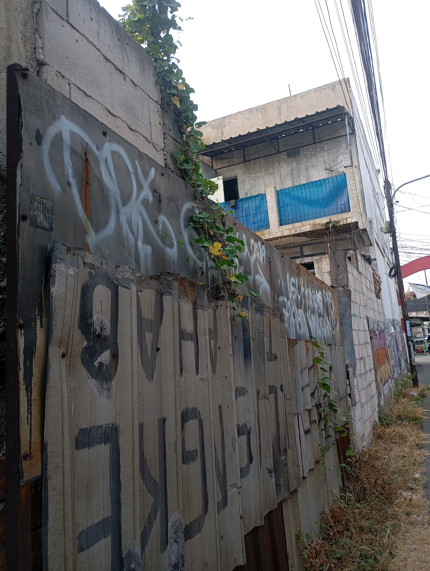 The image depicts an exterior view of a street in Babelan, Indonesia, characterized by urban decay and graffiti. A corrugated metal fence, covered in black and white spray paint graffiti, dominates the foreground. A climbing vine with green leaves is growing on the fence and the adjacent concrete wall. Behind the fence, a two-story building with a light-colored facade and blue window coverings is visible. The building appears weathered and in disrepair, with exposed rebar and unfinished sections. Overhead, a tangle of electrical wires stretches across the sky, indicating the presence of infrastructure. The street is narrow and lined with dry grass and debris. In the background, other buildings and a red arch-like structure can be seen. The overall scene suggests an unkempt and neglected urban environment.