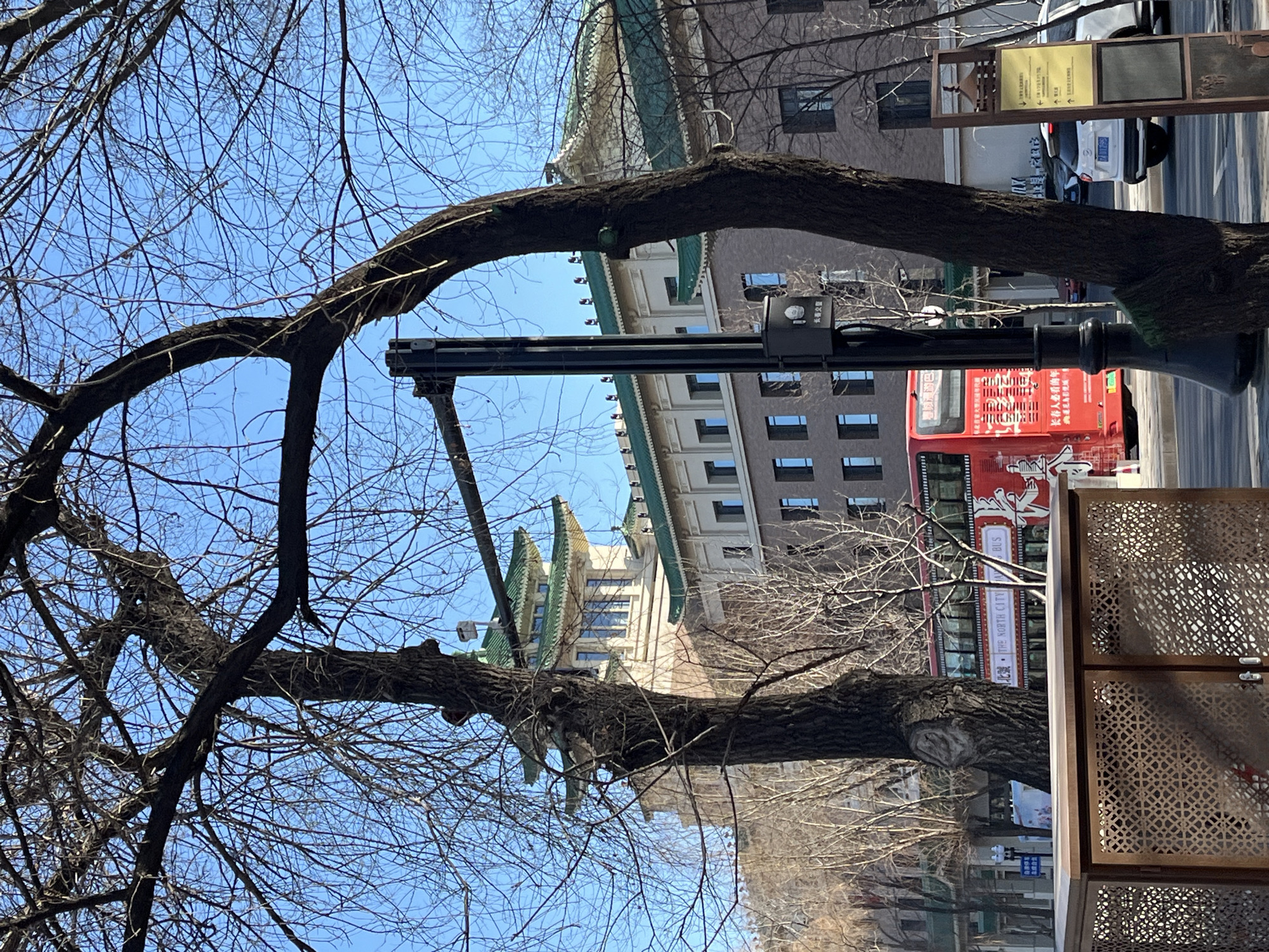 A view of a street in Changchun, China, featuring a bare tree in the foreground, framing a street scene. The tree's branches are mostly bare, with the sky visible through the limbs. In the background are buildings with traditional Chinese architectural elements, including green tile roofs. A red tourist bus is visible on the street. A decorative screen or fence is on the right side of the frame. The lighting suggests it is daytime, and the weather appears clear.
