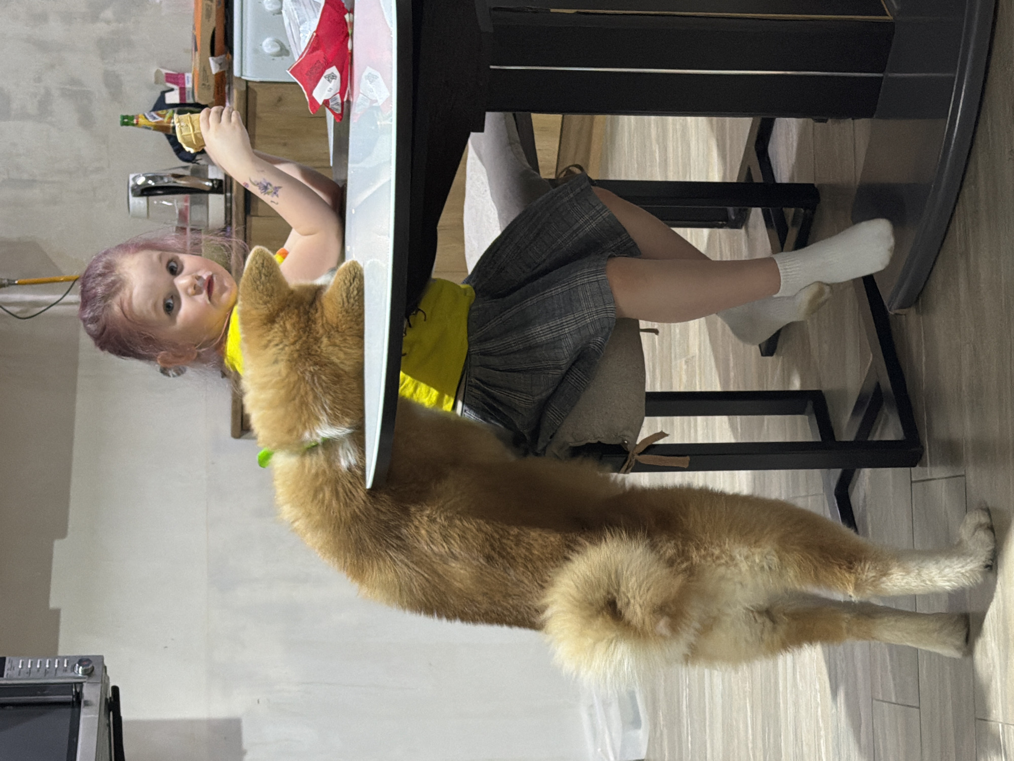 A young girl with pinkish-purple hair, wearing a yellow shirt and grey skirt, is seated at a black table, eating an ice cream cone. She has on white socks. Beside her is a large, fluffy tan dog with a green collar, standing on the floor. The scene takes place indoors, with a tiled floor and kitchen appliances visible in the background. The location is Chaikovsky, Russia.