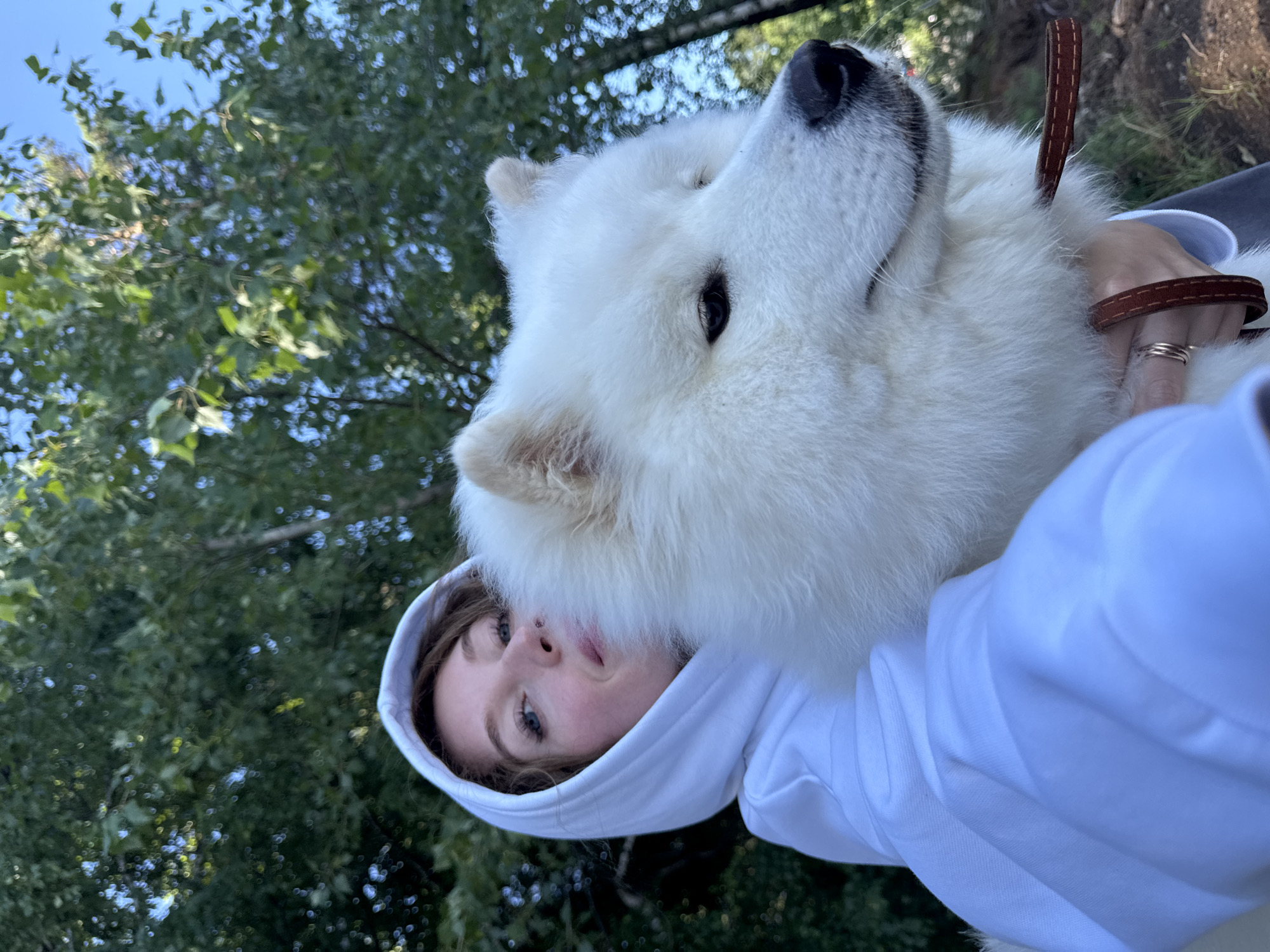A young woman with blonde hair, wearing a white hooded sweatshirt, is holding a fluffy white Samoyed dog in her arms. She is looking at the camera with a slight smile. The dog is looking to the right, with its head turned away from the camera. They are outdoors, with a backdrop of green trees and a blue sky. The image appears to be taken in a park or natural setting. The woman is wearing a few rings on her finger and a brown leather leash is visible. The image was captured in Chaikovsky, Russia.
