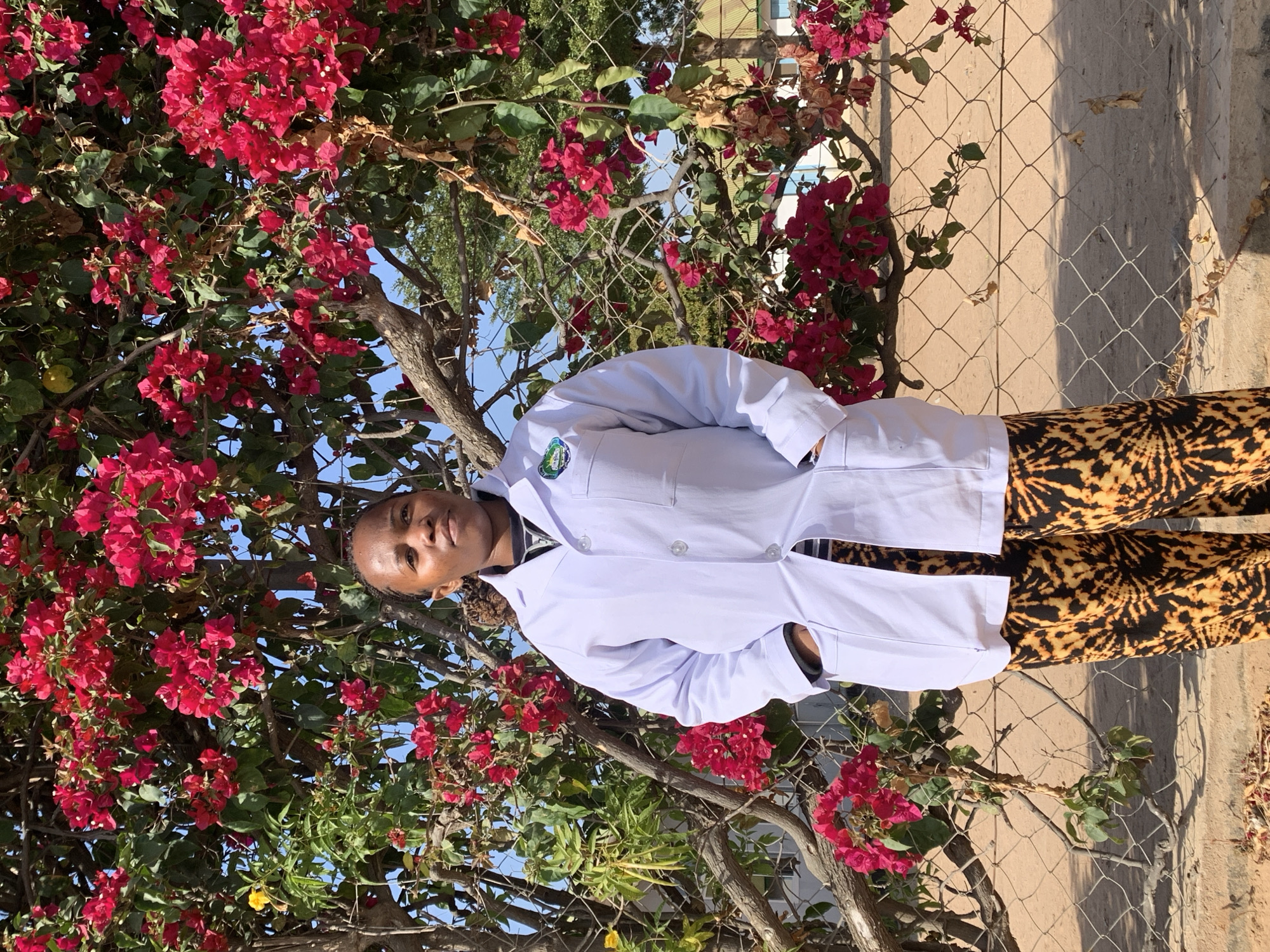 A woman stands in front of a flowering bougainvillea tree, which is supported by a chain-link fence. She is wearing a white lab coat over a black and yellow tie-dye shirt, and patterned pants. The woman is standing in the city of Dodoma, Tanzania, which is characterized by dry, dusty ground and a bright blue sky. The bougainvillea tree is in full bloom with bright pink flowers and green leaves. The fence is made of metal and is in good condition. The background shows a few buildings with green roofs. The lighting is natural and bright, indicating it is daytime.