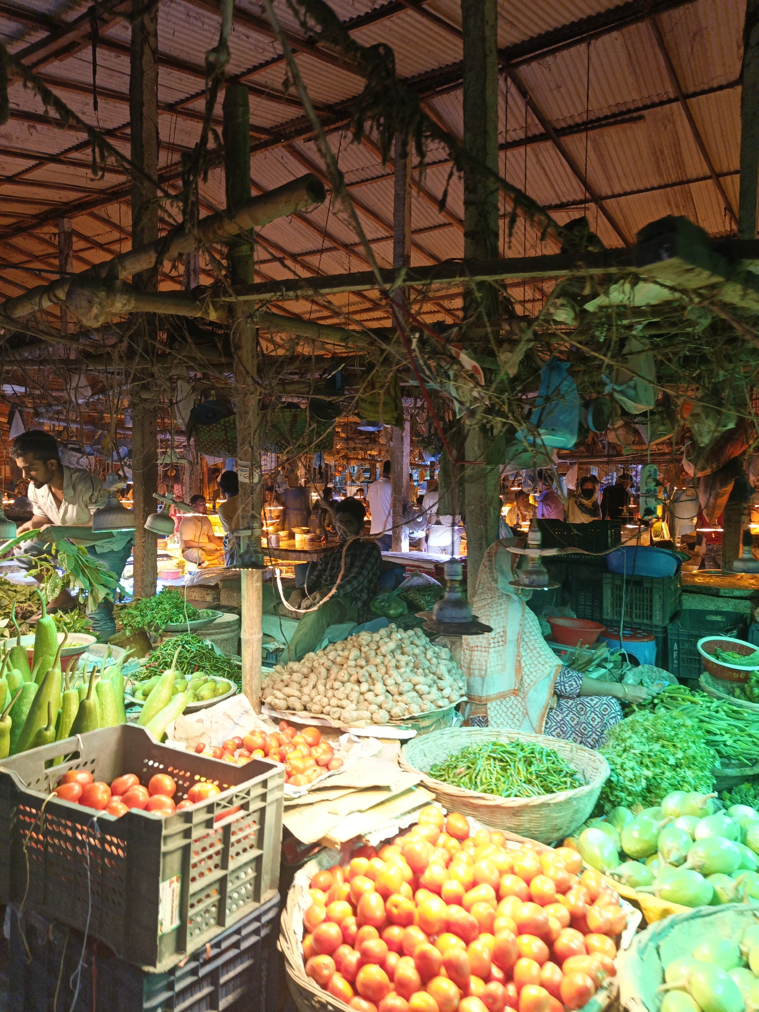 The image captures a lively fresh produce market, likely in Dhaka, Bangladesh, bustling under what appears to be artificial evening or nighttime lighting. The setting is a covered space with a corrugated metal roof supported by rough wooden beams and bamboo poles, from which various items and lights hang.
Numerous people are visible, primarily vendors attending to their stalls. On the left, a man in a light shirt is actively arranging long green vegetables, possibly gourds. Another man sits in the right foreground, observing the scene, surrounded by produce. Further back, a woman in traditional attire is seated amidst her goods. Other figures are visible in the dimly lit background, suggesting a busy environment.
The market is abundant with a variety of fresh vegetables. Prominent displays include large quantities of bright red tomatoes in baskets and plastic crates in the foreground. Piles of long green vegetables, possibly bottle gourds or ridge gourds, are stacked on the left. Baskets overflow with small green chilies and other leafy greens. Large mounds of pale, irregular vegetables, resembling ginger, are scattered across multiple stalls. Other light green, roundish vegetables, possibly eggplants or specific gourds, are also seen.
The scene is illuminated by numerous hanging bare bulbs with metal shades, casting a warm, golden glow that highlights the produce and creates distinct shadows. The overall impression is one of a busy, functional marketplace, characteristic of daily commerce in the region. There is no visible text in the image.