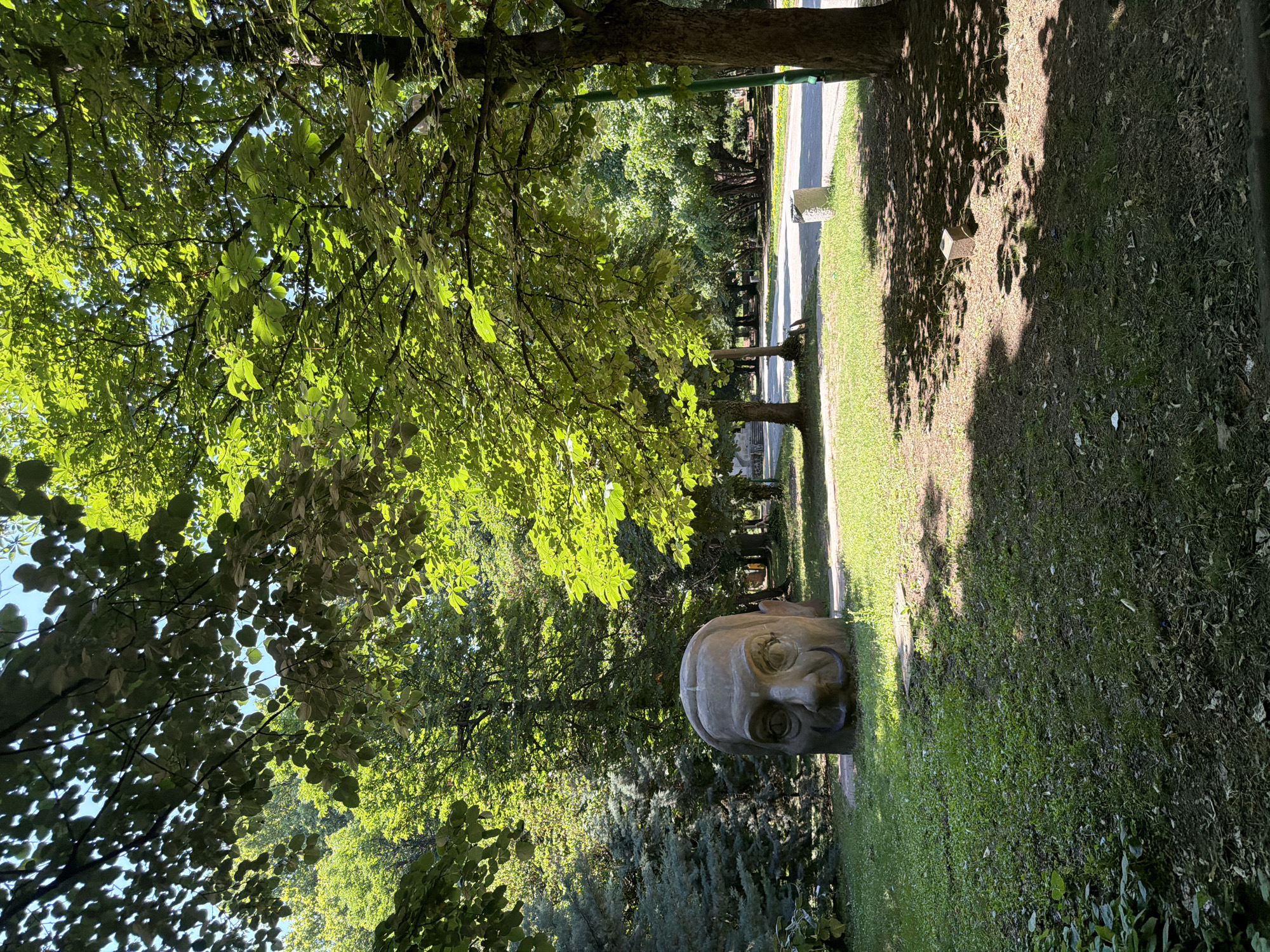 The image captures a large, weathered sculpture of a human head with a distinctive mustache and eyebrows, resembling a portrait of Salvador Dalí, situated in a park in Pazardzhik, Bulgaria. The sculpture is made of a grey material and appears to be partially embedded in the ground. It is positioned on a grassy area with scattered leaves and debris, partially shaded by the dense green foliage of overhanging trees.
To the left of the sculpture, a tall, conical evergreen tree stands out. In the background, more trees create a lush, green backdrop, with some suggesting a path or road winding through the park. Sunlight filters through the leaves, casting dappled shadows on the ground. A paved area, possibly a walkway or road, is visible in the middle ground, with a cylindrical concrete object and a dark green pole standing near it. The overall environment is that of a tranquil, sunlit park setting.