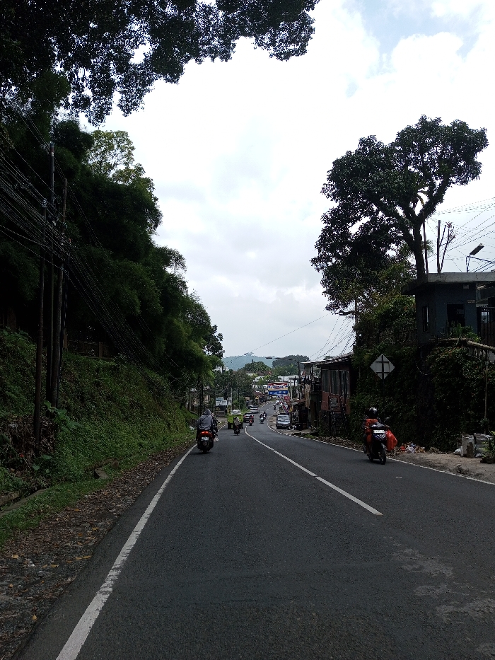 The image presents a street scene in Chendenbji, Bhutan, under an overcast sky. A two-lane asphalt road, delineated by a solid white edge line on the left and a dashed white centerline, curves gently to the right and recedes into the background.
On the left side of the road, a steep, vegetated embankment rises sharply, densely covered in various green foliage, including what appears to be bamboo. Multiple wooden utility poles are interspersed along this slope, supporting a complex network of black electrical or communication cables.
The right side of the road features a series of low-rise structures and dense vegetation. One prominent building in the mid-ground has a flat roof with a tree growing from its perimeter, and additional utility wires are strung overhead. A white diamond-shaped road sign with a horizontal black bar is visible on the right shoulder.
Traffic on the road consists of multiple vehicles, primarily motorcycles, and some cars, all traveling away from the viewer. In the left foreground, a person on a dark motorcycle, wearing a light-colored jacket, is in motion. On the right shoulder, a person on a red motorcycle, carrying a plastic package, is either stationary or moving slowly. A light-colored compact truck and several other motorcycles are visible further down the road. Distant forested hills are discernible on the horizon.