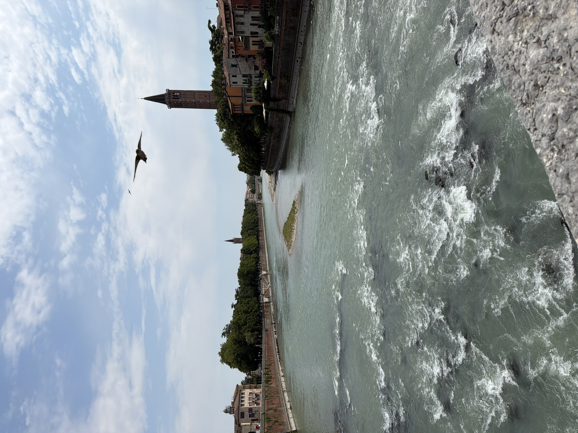 This is a vertical, medium-shot, eye-level, outdoor, daytime photograph of the Adige River in Verona, Italy. In the foreground, a grey stone surface is visible, with the turbulent, turquoise water of the river filling the midground and background. There are white rapids and dark rocks in the water. Along the left bank of the river, a red brick retaining wall lines the water, topped by a paved walkway and a line of trees. Behind the trees, there are buildings, including a pale peach colored building with a dome-shaped roof, and a tall, narrow brick tower with a pointed black roof. On the right bank, there is a row of multi-colored buildings with red tile roofs, and a line of trees. A small, barren island is situated in the middle of the river. In the sky, there are white, puffy clouds scattered across a bright blue sky. Two birds are flying in the sky; one is a larger bird in the middle ground, and a smaller bird is further in the distance. The overall scene depicts a view of the Adige River in Verona.