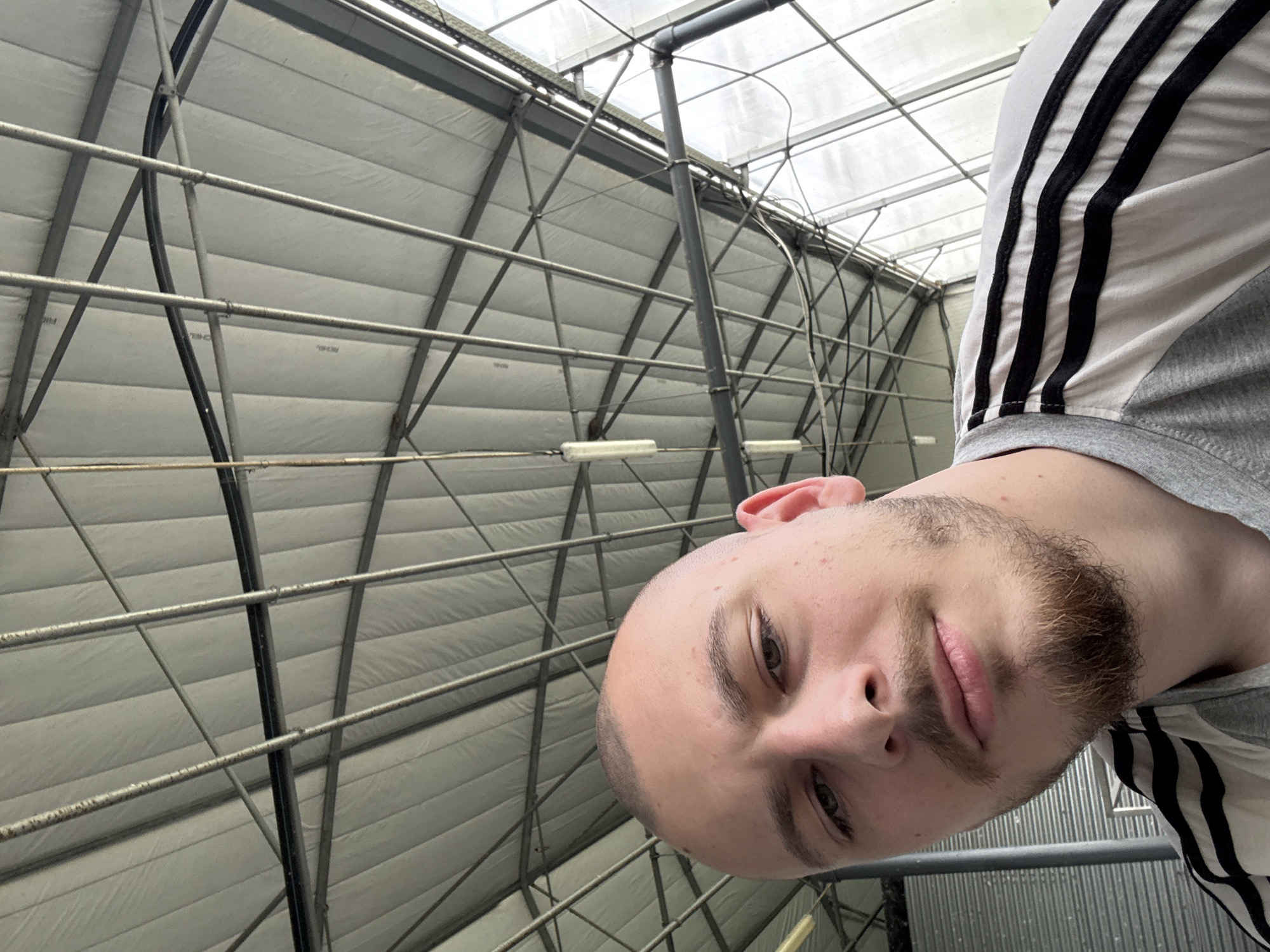 A selfie photograph, taken from a low angle looking up, features a man indoors. He has a closely shaved head, fair skin, and a beard. He wears a gray shirt with black stripes. The background is a steel and translucent plastic structure, possibly the roof of a greenhouse or warehouse. The lighting is soft and diffused, typical of an overcast day or indoor illumination. The man appears to be smiling slightly. The photo was taken in the city of Stara Zagora, Bulgaria.