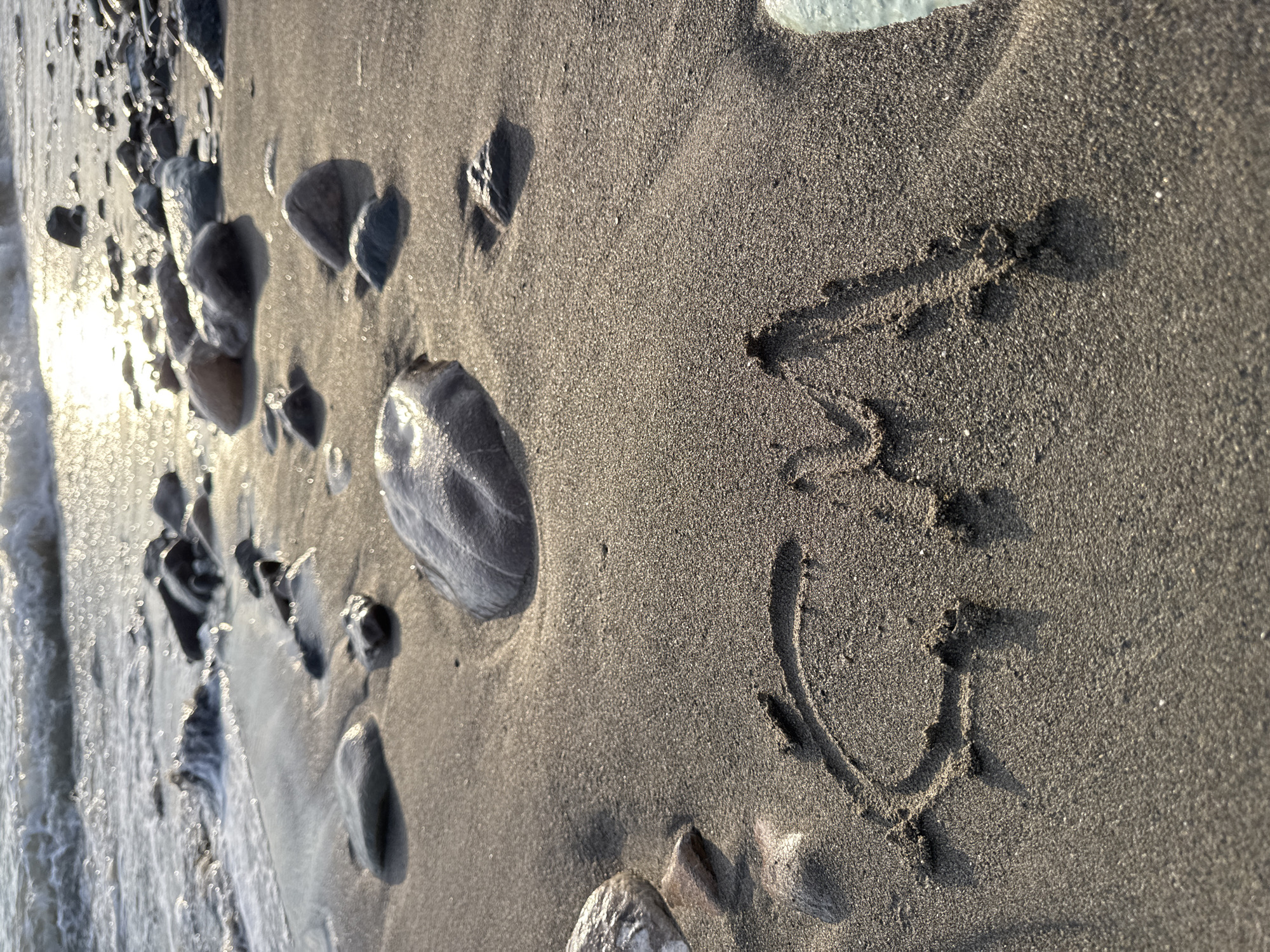 This close-up, low-angle shot captures a sandy beach with the tide gently receding, creating a wet, reflective surface near the left edge of the frame. The sand is dark and coarse, littered with various smooth, grey stones of different sizes. Some stones are partially submerged in the wet sand, while others are dry and catch the light.
In the sand, a simple drawing is etched, appearing to be the Cyrillic letter "Ч" followed by a curved line resembling a checkmark or a simplified smiley face. The drawing is shallow and appears freshly made.
The sun is low on the horizon, casting a warm, golden light that glints off the wet sand and the smooth surfaces of the stones. This indicates that it is either early morning or late afternoon. The sky is not visible, but the lighting suggests clear weather. The presence of the sea and the sandy shore firmly places the scene on a beach. Given the location context of Sochi, Russia, this scene likely depicts a moment of quiet contemplation or playful inscription on a beach along the Black Sea coast. The overall mood is serene and peaceful, evoking a sense of calm and natural beauty. There is no visible text other than the drawing in the sand.