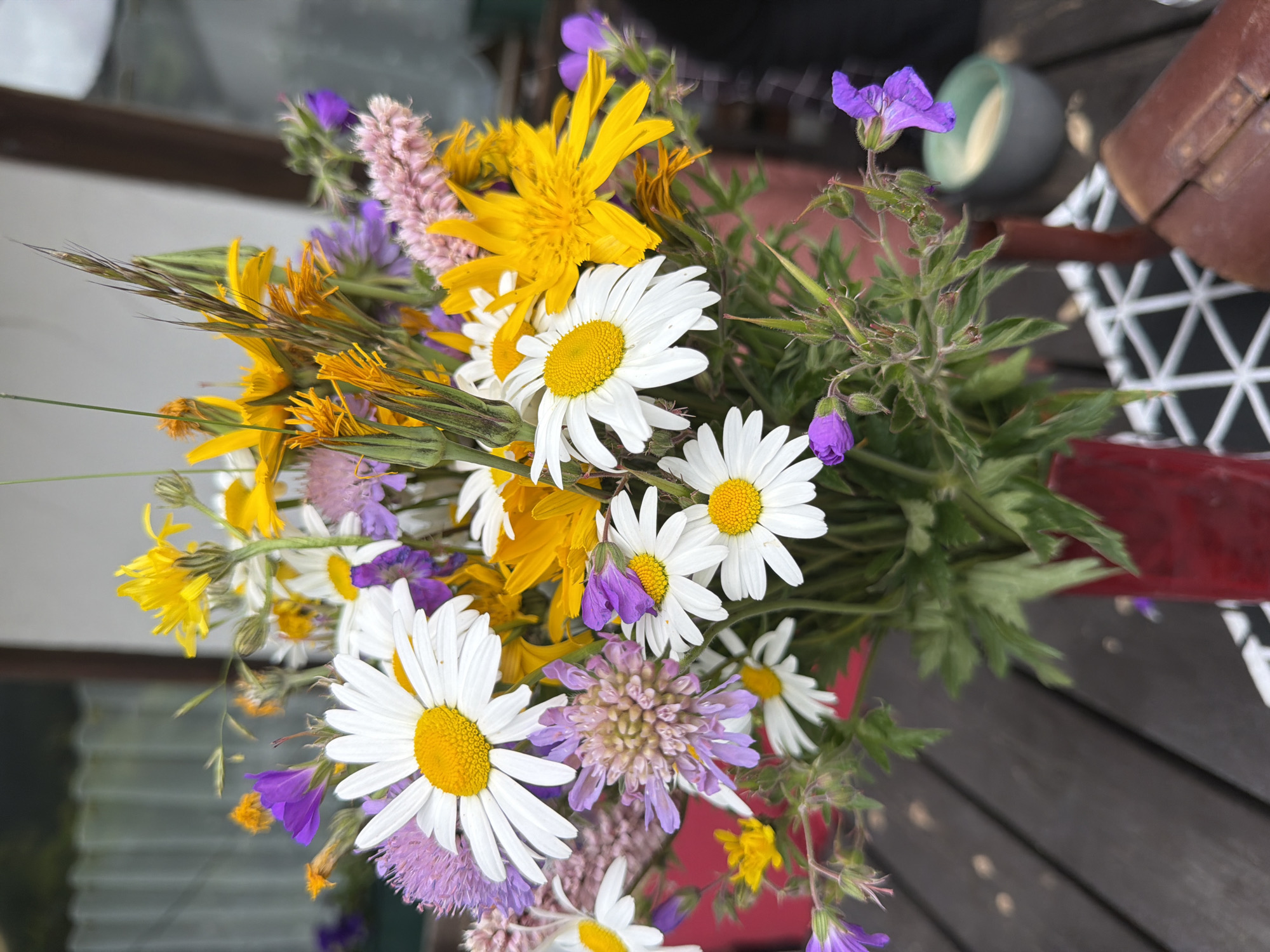 A vibrant and diverse bouquet of wildflowers is the central subject of this image, presented against a dark wooden surface. The dominant flowers include several white daisies (likely Leucanthemum vulgare) with bright yellow centers, numerous yellow composite flowers resembling dandelions or hawkweeds, and delicate purple bell-shaped blooms, characteristic of Geranium species. Also visible are soft, pale purple pincushion-like flowers, possibly from the Scabiosa or Knautia genera, adding further texture and color. A few slender, feathery grass stems are interspersed throughout the arrangement.
The bouquet appears freshly gathered, exuding a natural and rustic charm. It is set on a dark wooden surface, which occupies a significant portion of the background, suggesting an outdoor deck or a wooden table. In the blurry background, a light green bowl, a brown object with visible fasteners, and a white geometric lattice pattern (possibly part of a chair or decorative element) can be vaguely discerned, indicating a casual outdoor or patio setting. The lighting is natural and soft, suggesting daytime conditions, possibly under overcast skies or in indirect light.
The image is captured in a still-life format, with no people or specific activities taking place. There is no visible text present. The photograph is notably rotated counter-clockwise, making the bouquet appear to be oriented horizontally.