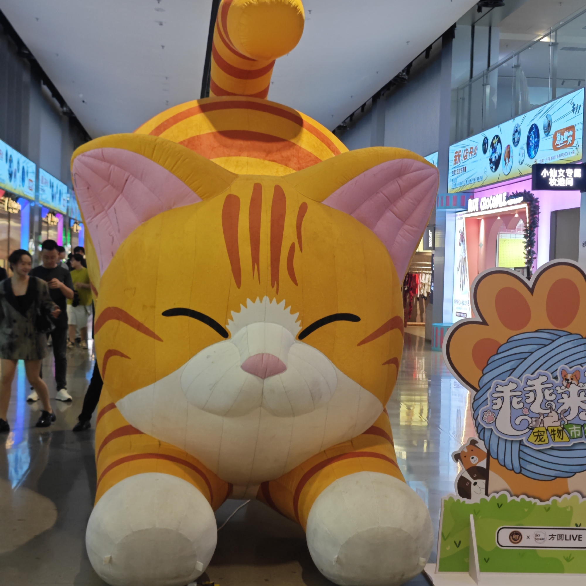 The image captures a scene inside a shopping mall in Liangjiang, China. A giant, inflatable orange cat with pink ears and a striped tail dominates the foreground. The cat is in a playful position, its front paws stretched out. To the right of the cat is a promotional sign for a pet market, featuring cartoon images of dogs and cats with Chinese text.
In the background, several people are walking, some appearing to be window shopping. Storefronts are visible, including one for "BLUE CROCODILE," and electronic advertising displays are mounted above the shops. The mall's interior appears brightly lit with polished floors reflecting the surroundings.