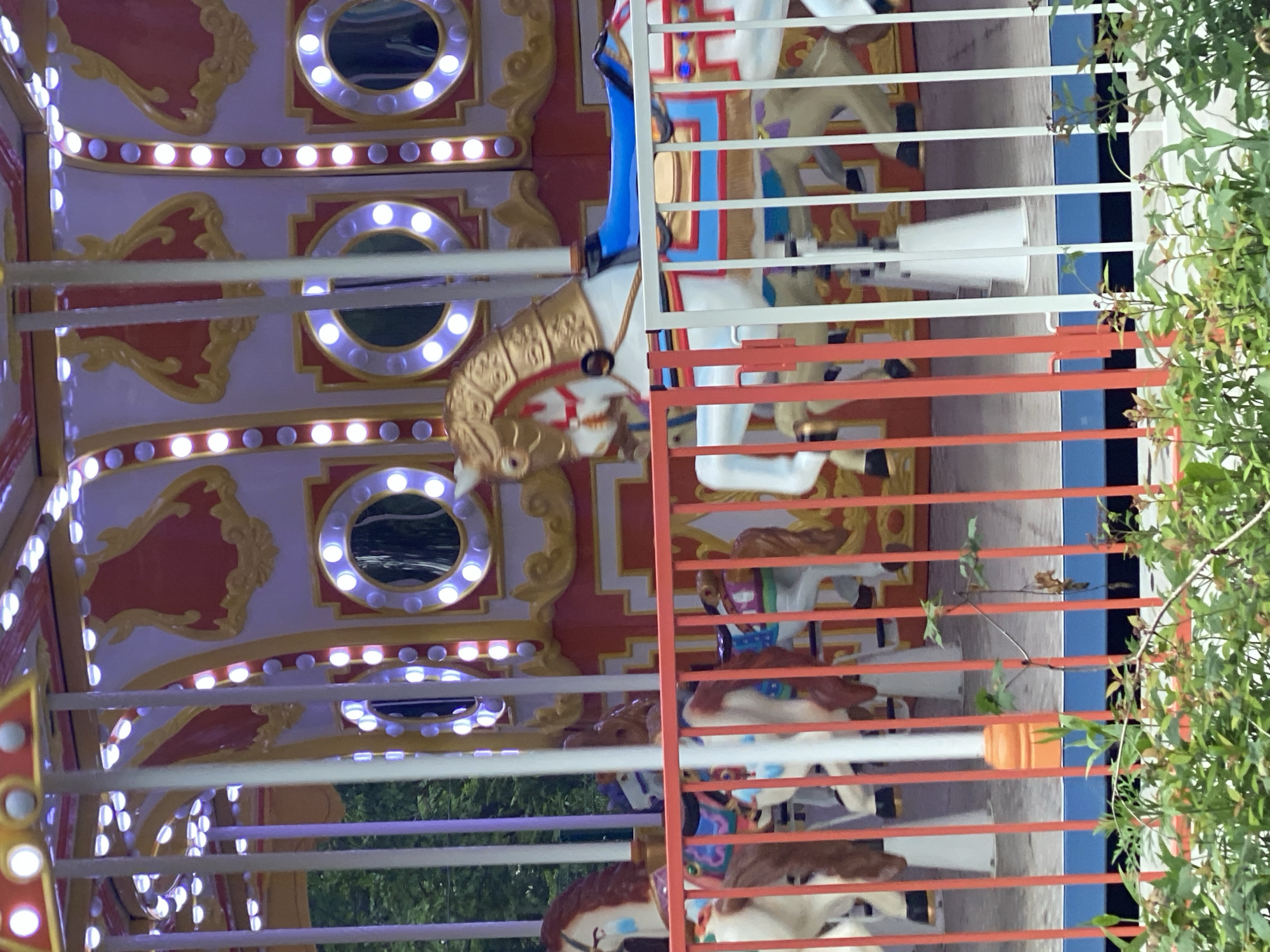 The image captures a close-up view of a carousel, likely in an amusement park or fairground. The carousel features several horses, some of which are visible in the foreground. One horse in particular is prominent, with a golden mane and a blue saddle. The carousel is adorned with numerous lights, giving it a festive appearance, especially around the decorative elements and circular windows. A red and white striped fence separates the viewer from the carousel. In the foreground, green foliage is visible, suggesting the presence of plants or a garden area. The background appears to be a mix of trees and possibly other park structures, partially obscured by the carousel itself. The overall scene conveys a sense of fun and entertainment associated with amusement park attractions.