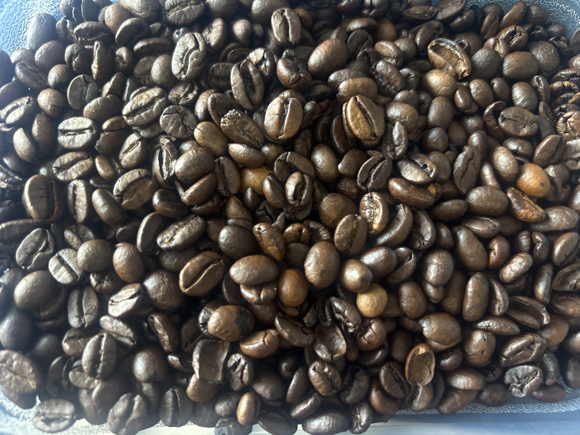 The image is a close-up shot of roasted coffee beans filling the frame. The beans are various shades of brown, suggesting different roasting levels. They are tightly packed, with no clear individual bean distinctly separated from the rest. The surface of the beans appears smooth and oily, indicating a fresh roast. The lighting is even, illuminating the beans without creating strong shadows. There is no indication of the location in Buenavista, Mexico, or any people or actions in the image. The only object is the mass of coffee beans.