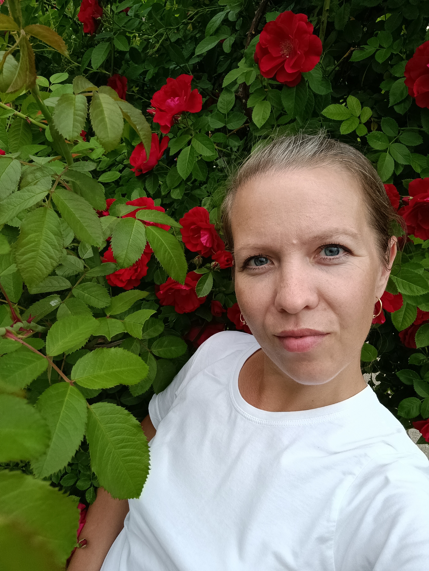 The image is a selfie taken outdoors in front of a dense rose bush with red flowers and green leaves. A Caucasian woman with fair skin, blonde hair, and blue eyes is positioned in the right half of the frame, looking directly at the camera. She is wearing a white t-shirt and hoop earrings. The background is filled with lush foliage, indicating an outdoor setting, possibly a garden or park. There is no information within the image to suggest it was taken in the city of Chaikovsky, Russia.