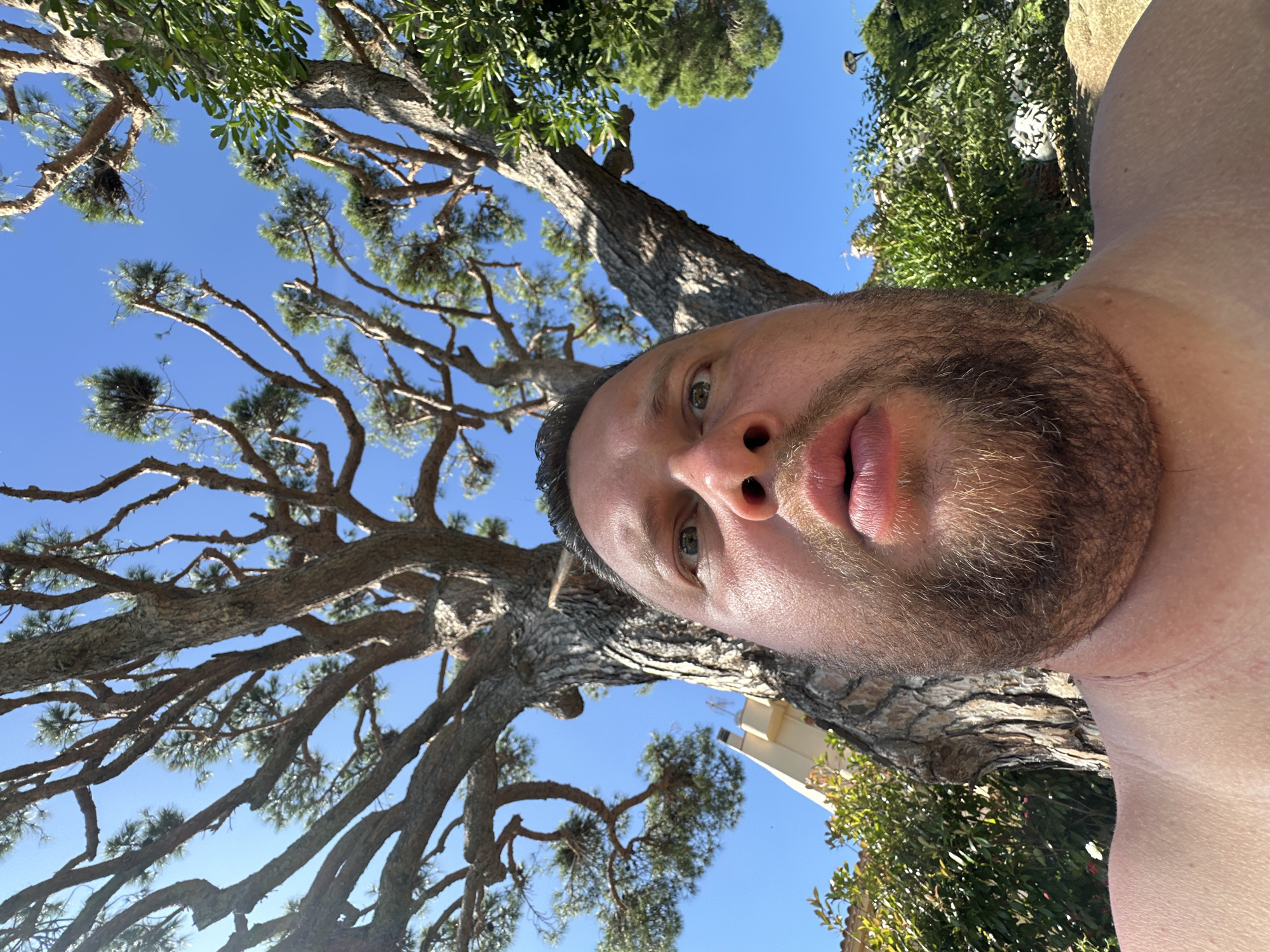 A low-angle, close-up, full-frame selfie shows a man's face, shoulders, and upper chest from the neck up. He is looking directly at the camera with his mouth slightly open. His skin is fair, and he has a beard and stubble. His eyes are green, and his eyebrows are dark.
Behind him, a large, mature tree with a rough, textured trunk dominates the upper half of the frame. Its branches spread out, reaching towards a clear blue sky. The tree's bark is a mix of gray and brown, and some areas appear weathered. Green foliage is visible on some of the branches, and more dense green bushes are present in the lower right corner of the image. In the background, a light-colored building, possibly a house, is partially visible through the branches on the left side of the frame.
The lighting suggests a bright, sunny day, with the sun casting highlights on the man's skin and the tree's bark. The overall atmosphere is casual and outdoor-oriented. The location appears to be a garden or a residential area with mature trees and vegetation, consistent with the Mediterranean climate of Sant Feliu de Guíxols, Spain.