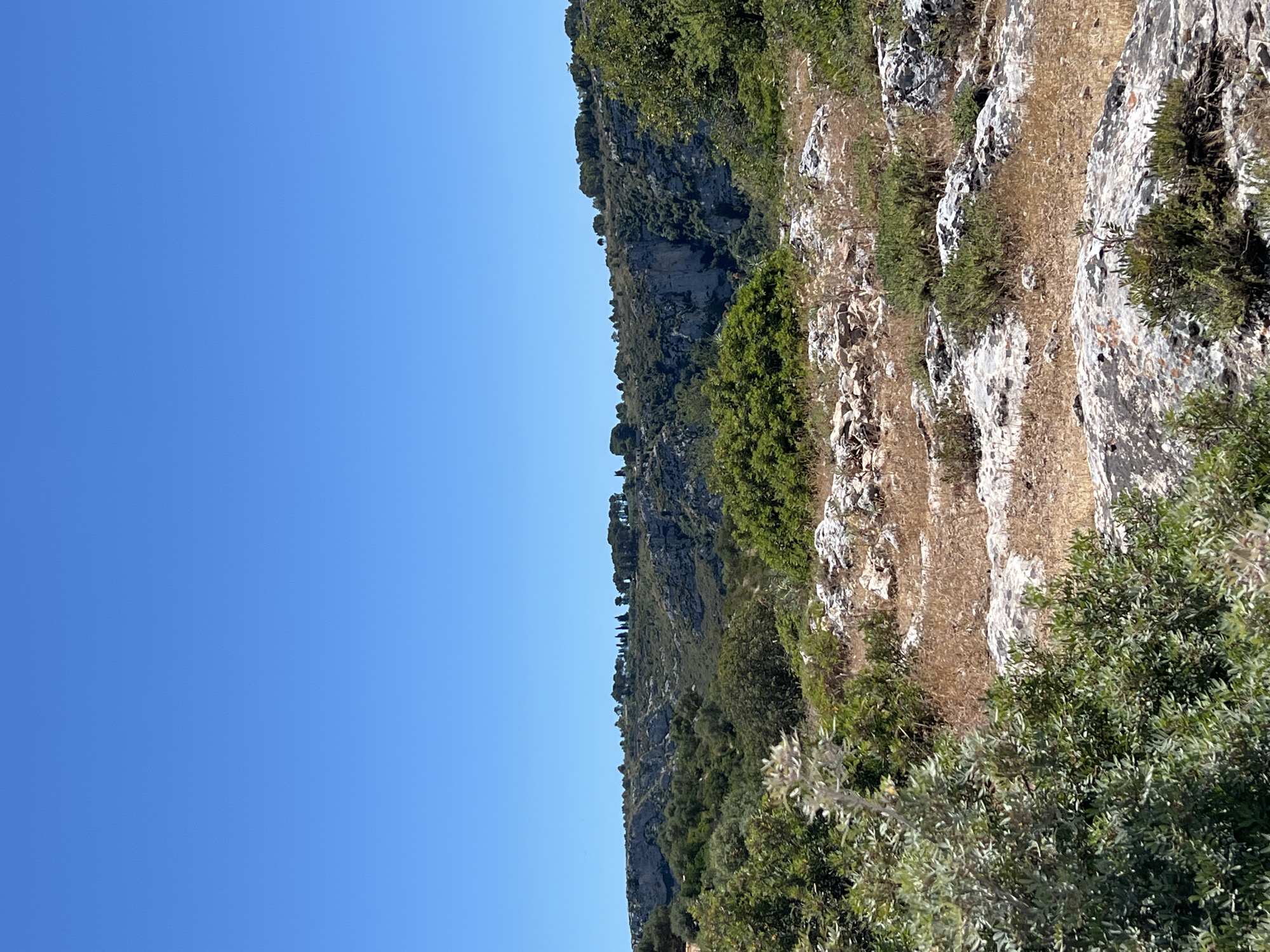 This is a vertical, wide-angle, eye-level shot of a rocky, arid landscape under a clear, bright blue sky. In the foreground, there is dry, brown grass and scattered rocks, interspersed with green shrubs and bushes. The middle ground features more rugged, rocky terrain and dense green vegetation. In the background, a dramatic cliff face rises, with trees dotting the top of the plateau. The scene appears to be a natural, undeveloped area. The overall impression is one of a dry, sunny, and rugged natural environment.