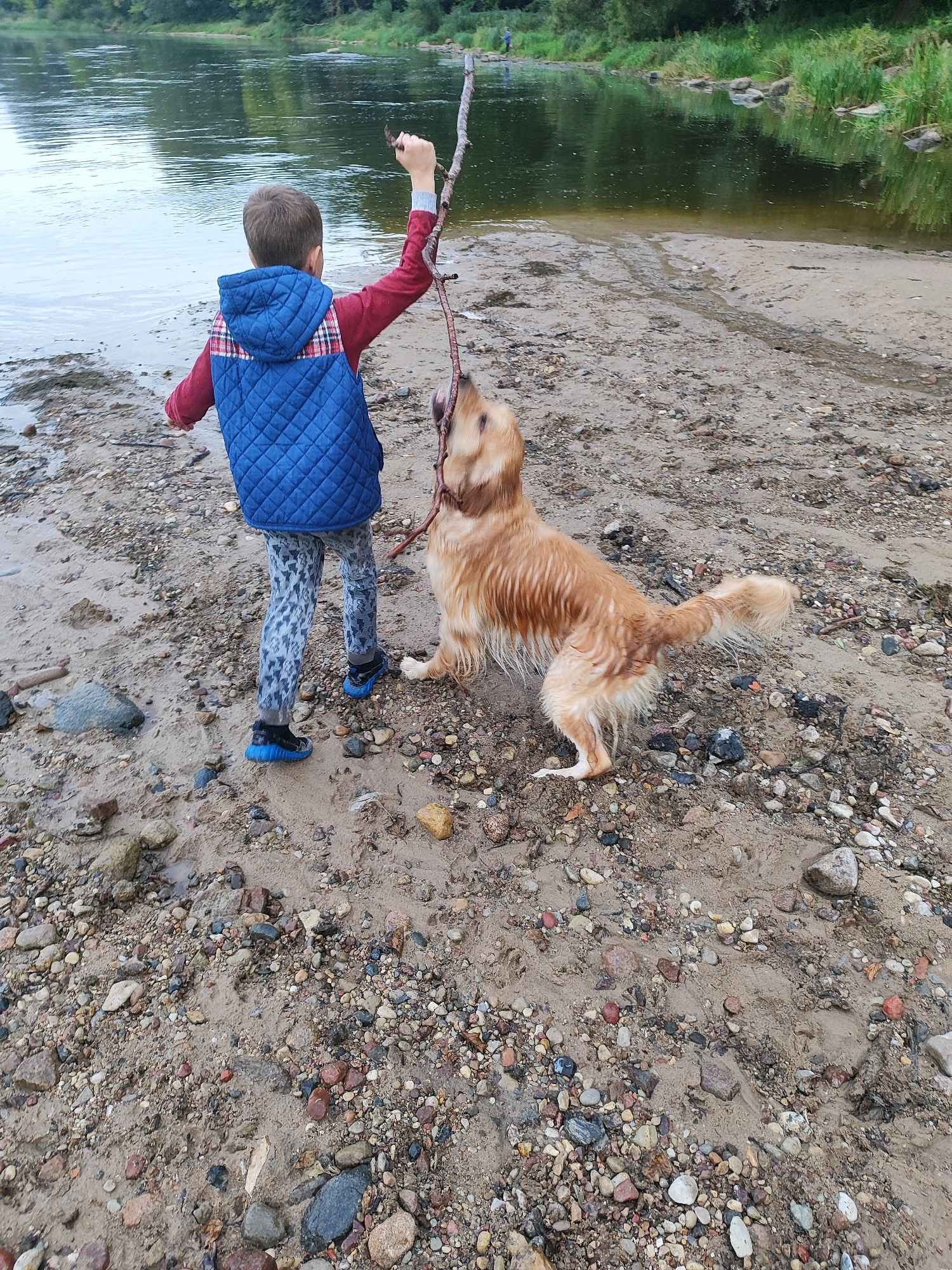 A boy in a blue quilted vest over a maroon long-sleeved shirt and patterned pants is standing on a sandy and rocky riverbank, playing with a golden retriever. The boy is holding a stick, which the dog is tugging on. The river is to the left, with green trees and foliage on the opposite bank. The scene appears to be a natural setting, possibly a park or recreational area within the city of Hrodna, Belarus, given the mention of its location.